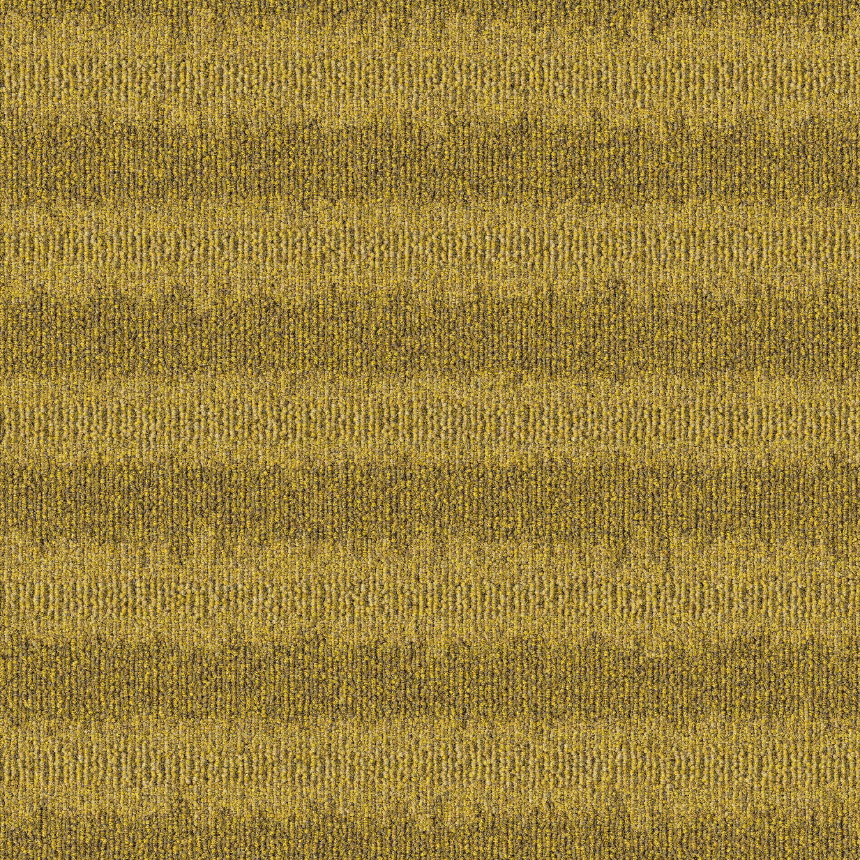 Polder 224