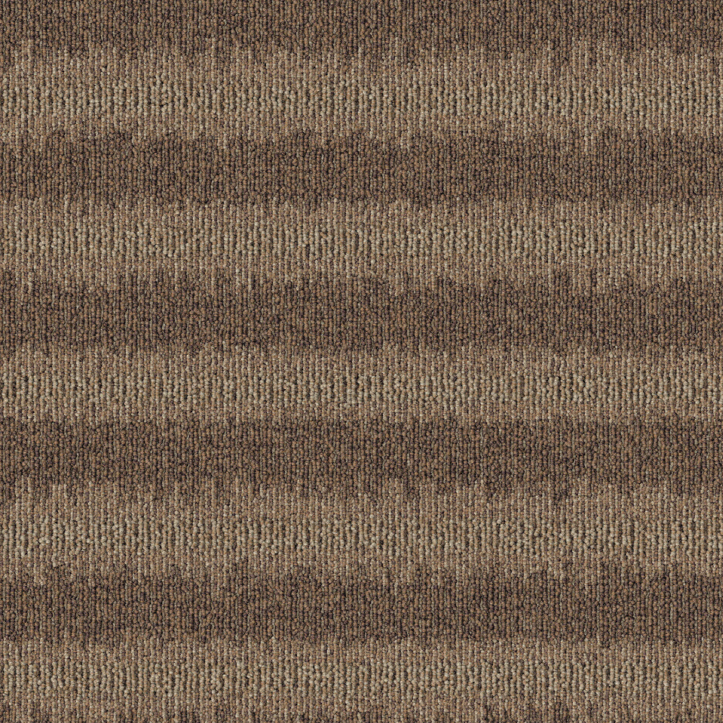 modulyss - Polder 831
