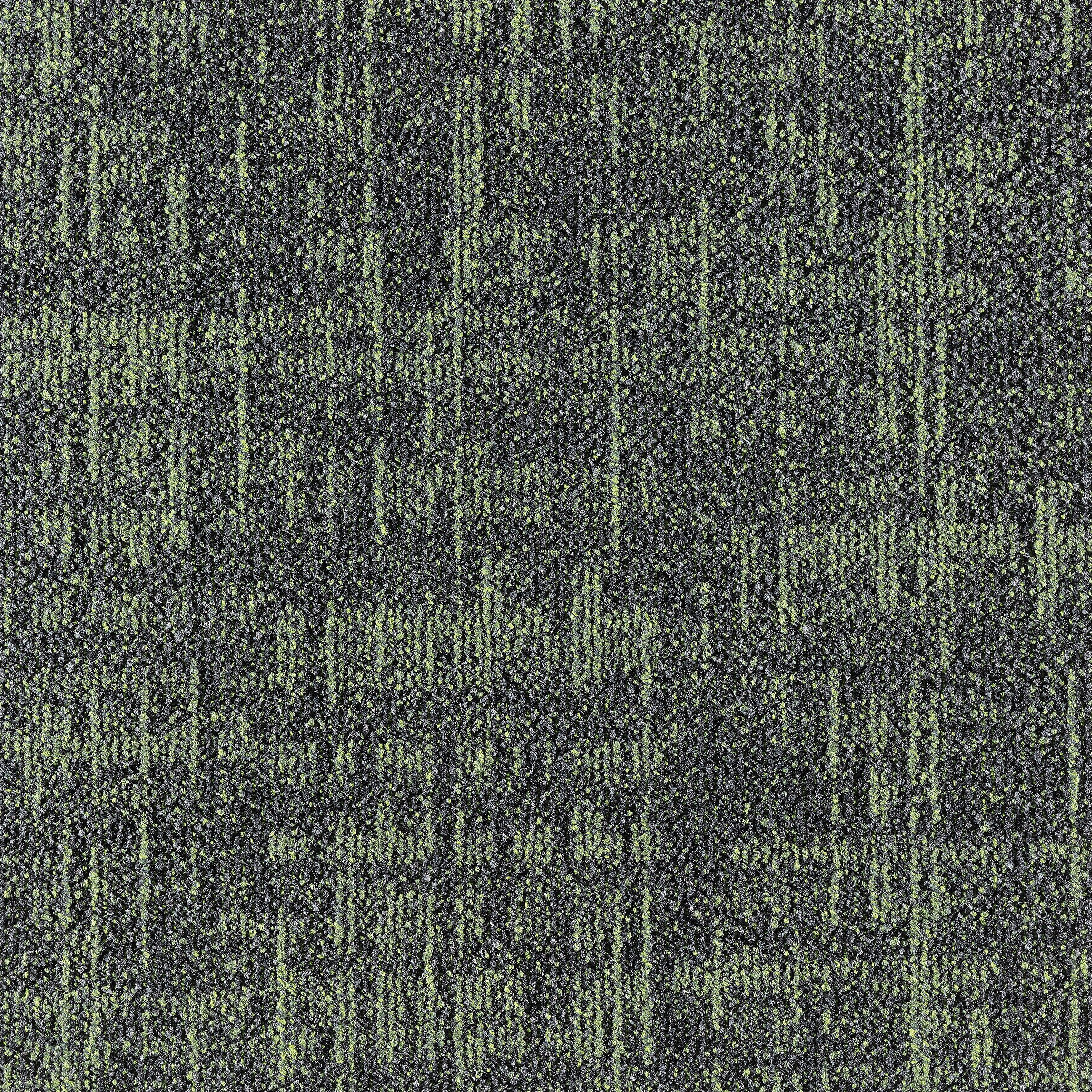 Core 659