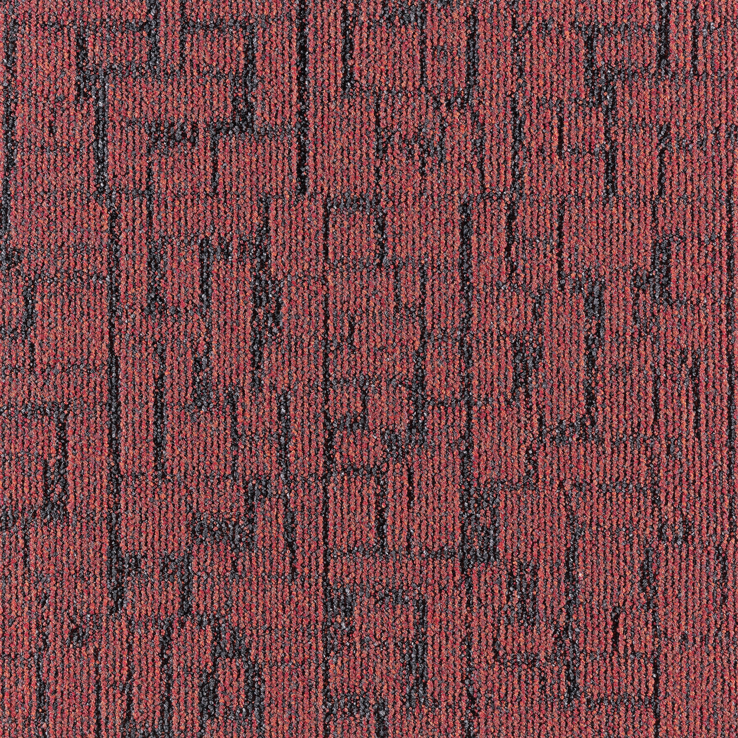 Litho 389