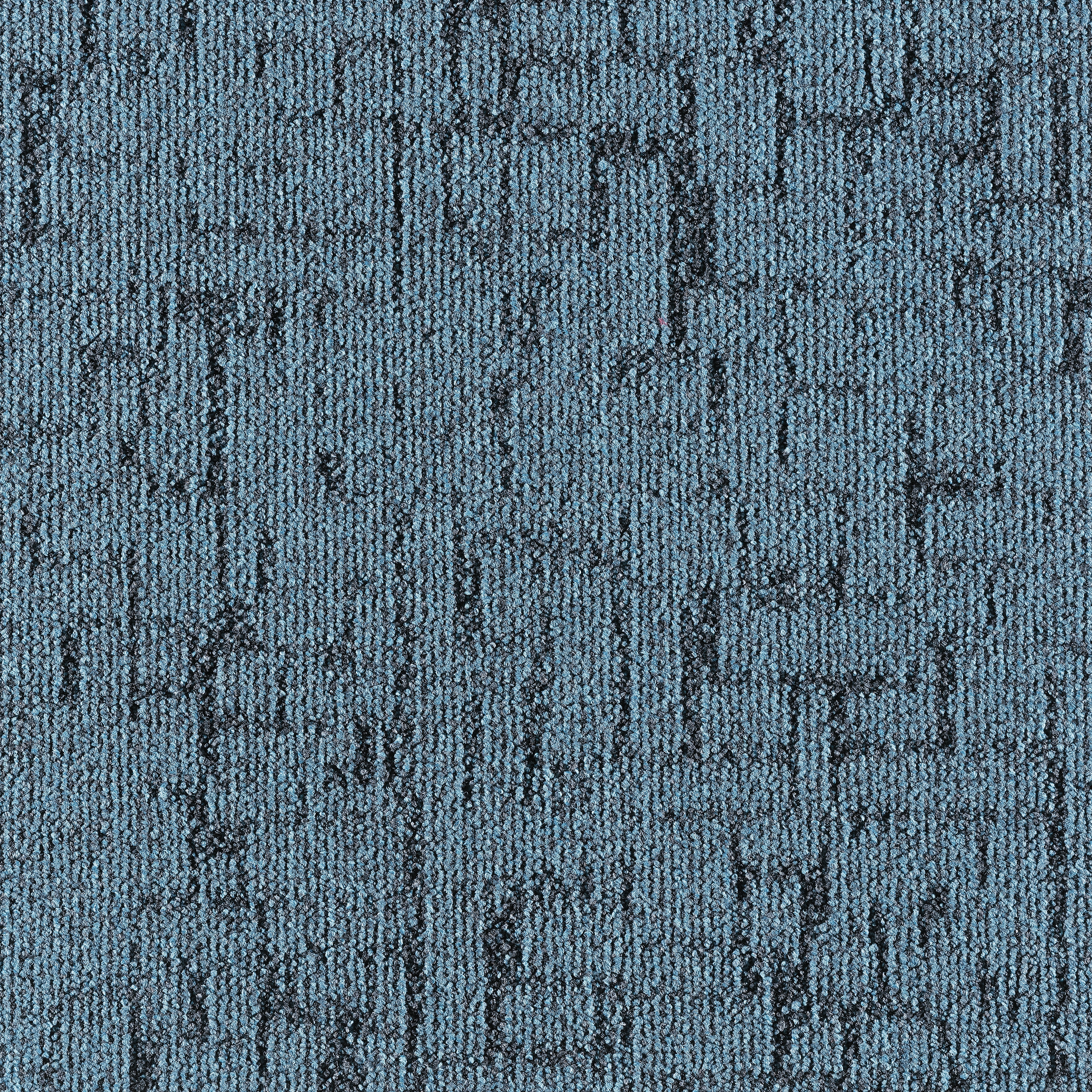 Litho 501