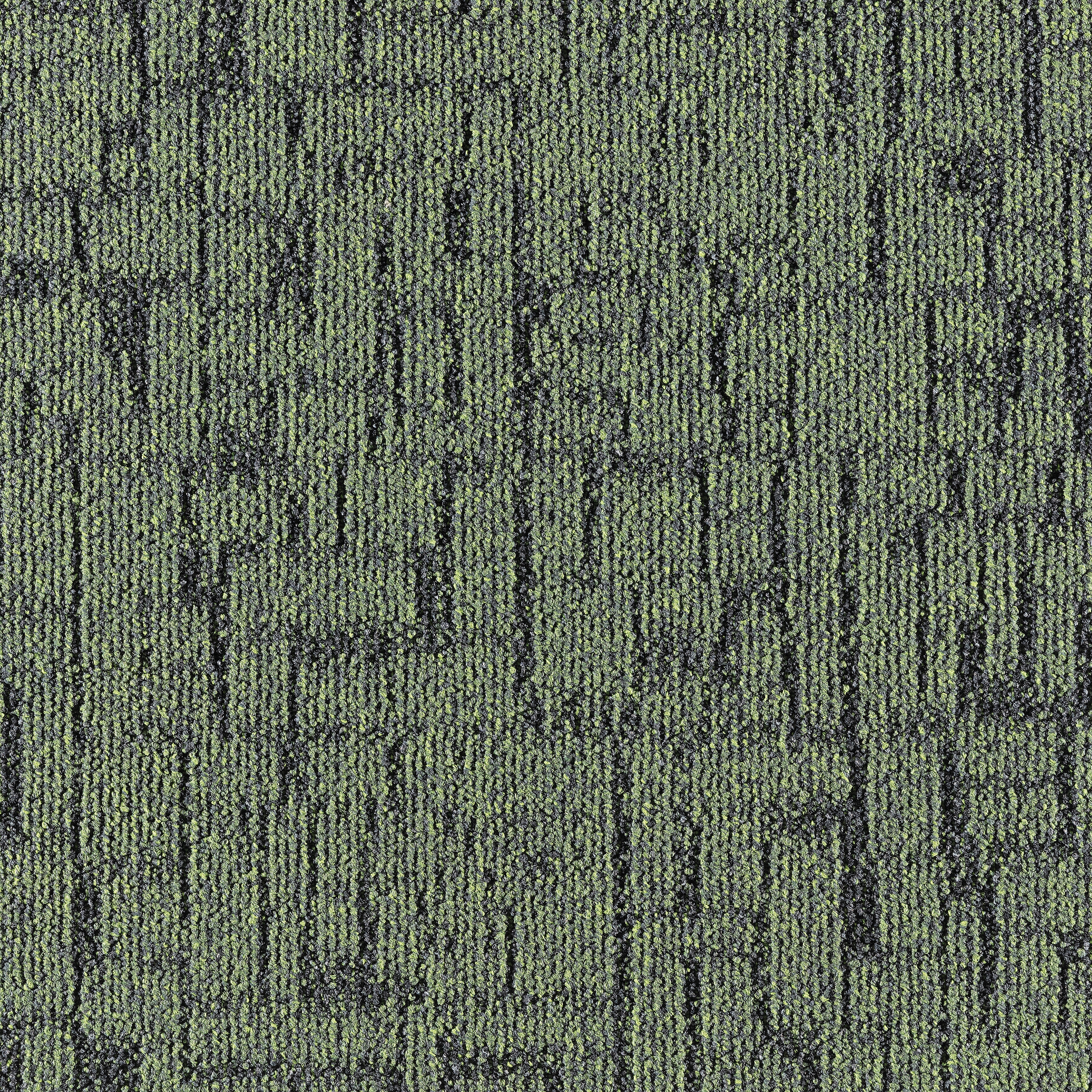 Litho 659
