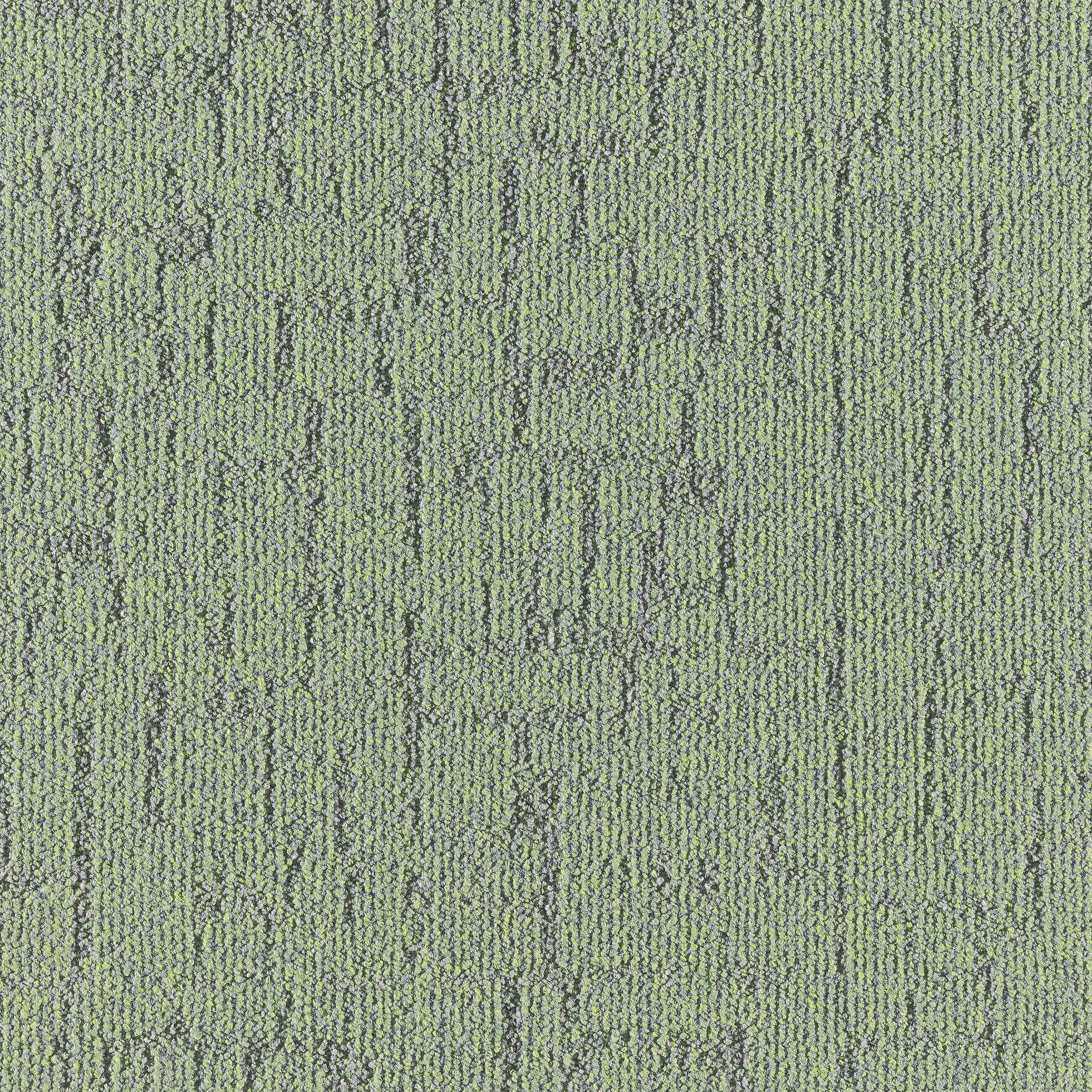 Litho 672