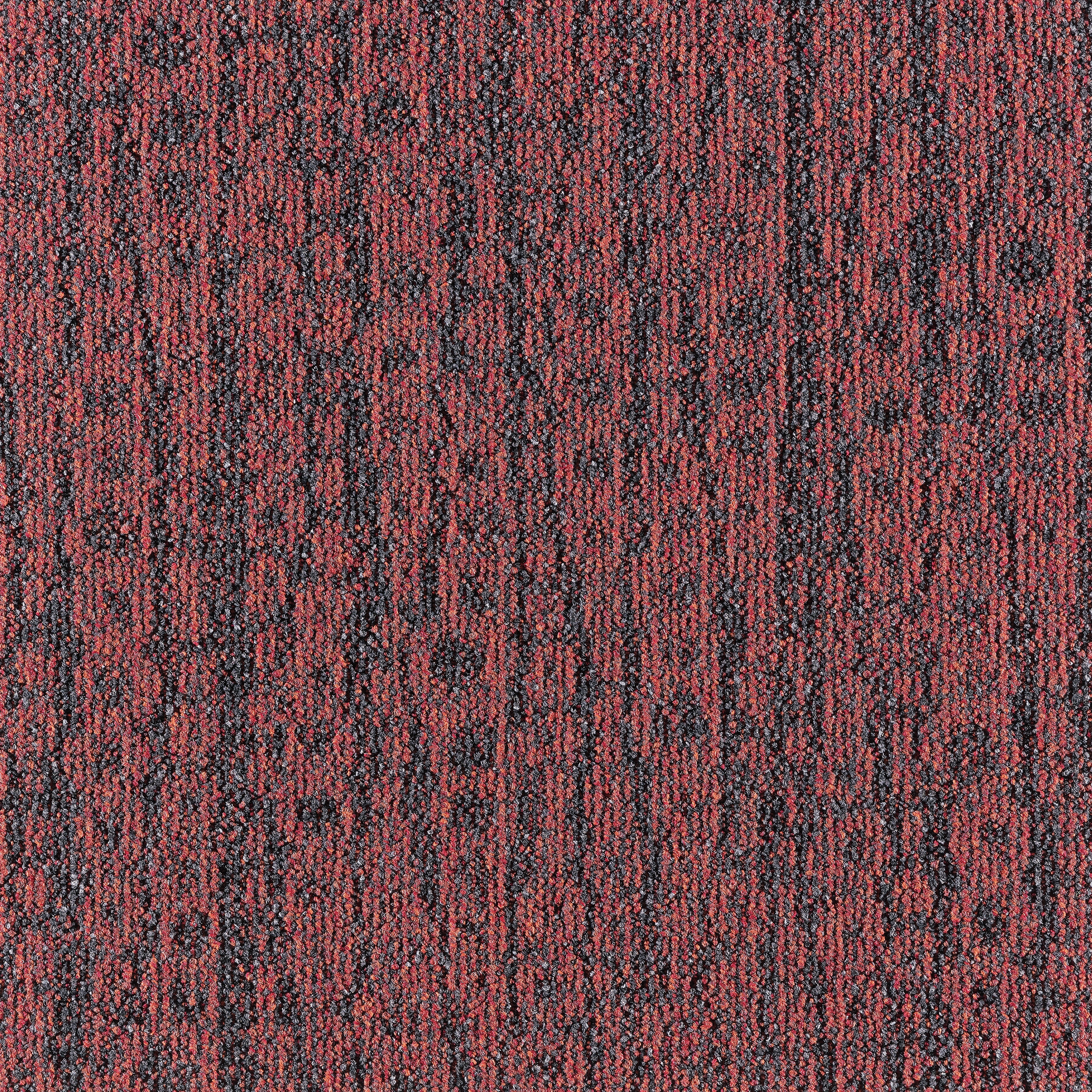 Mezzo 389