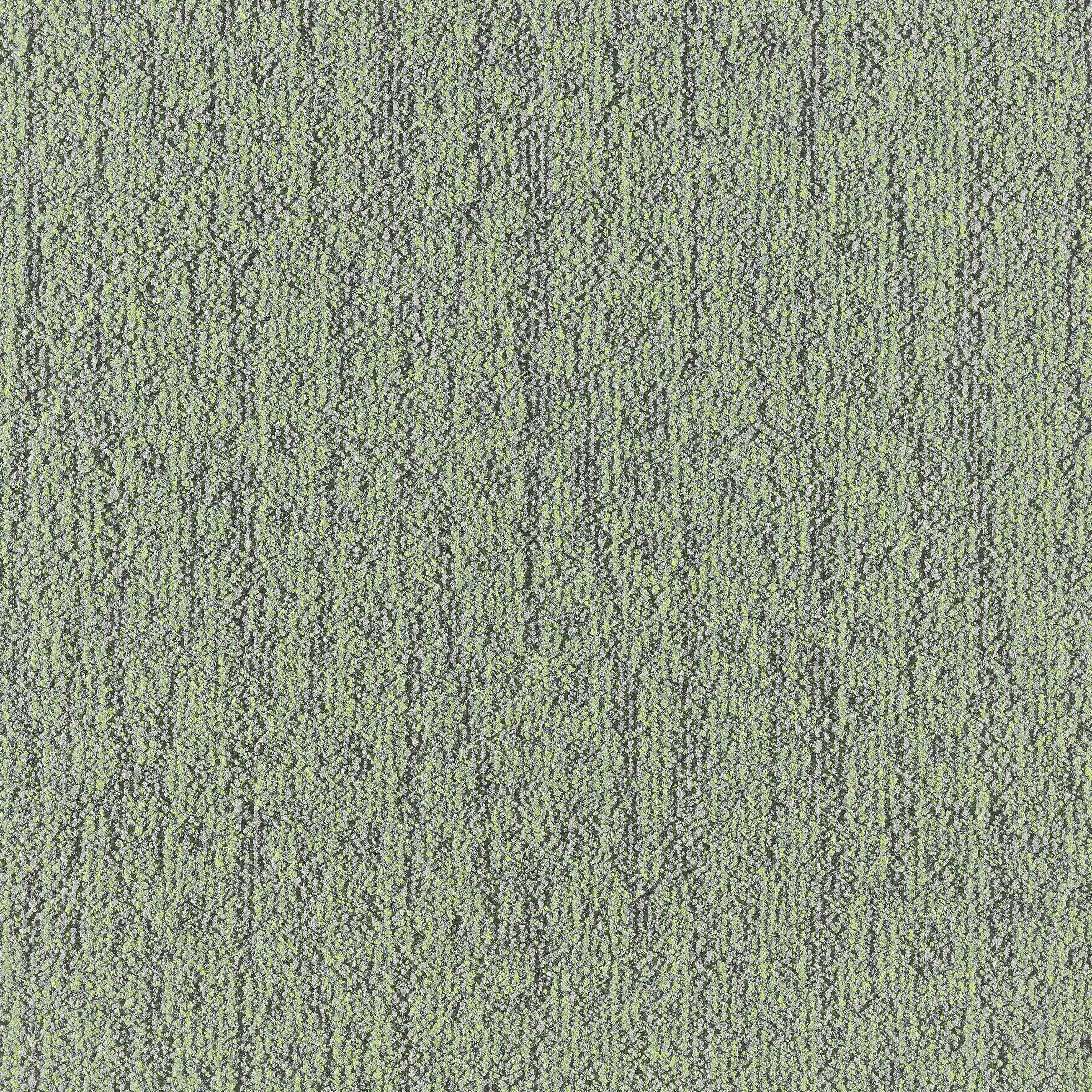Mezzo 672