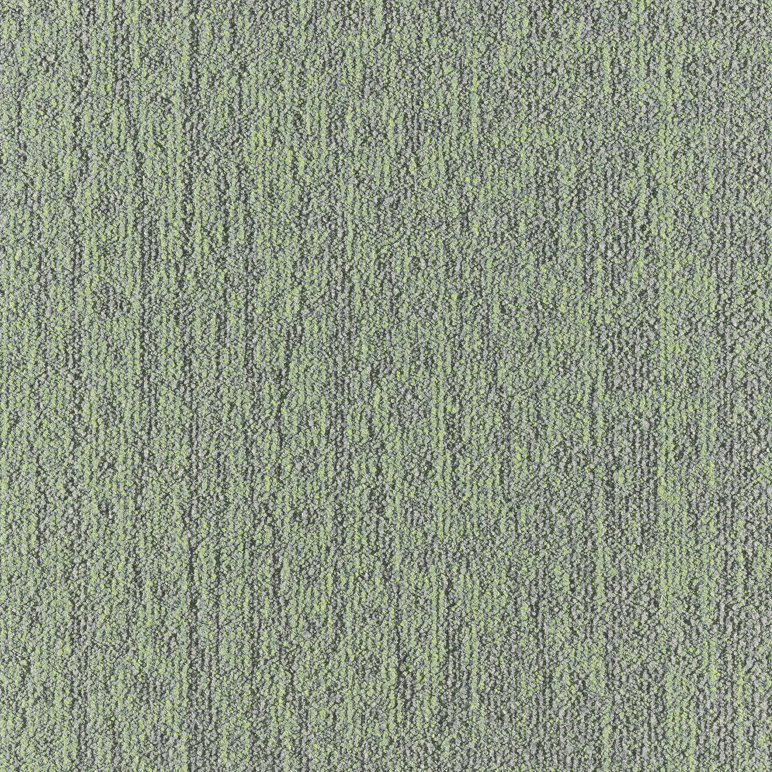 modulyss - Mezzo Gradient 672