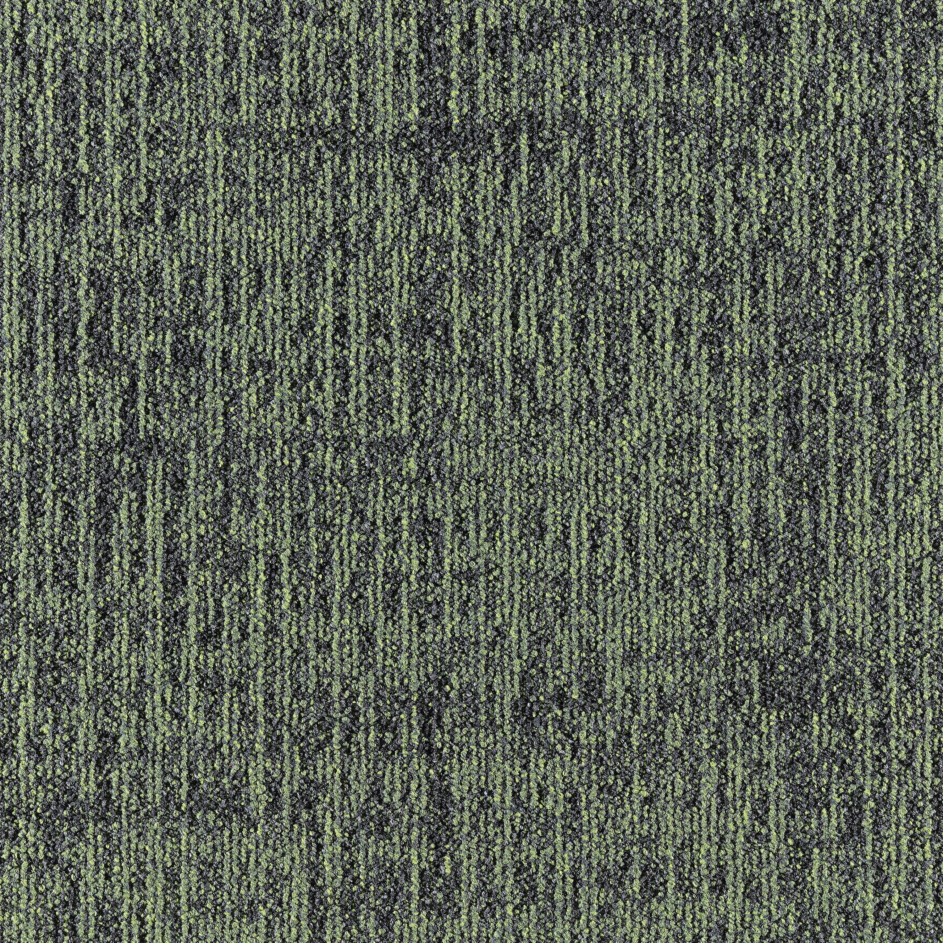 Etch 659