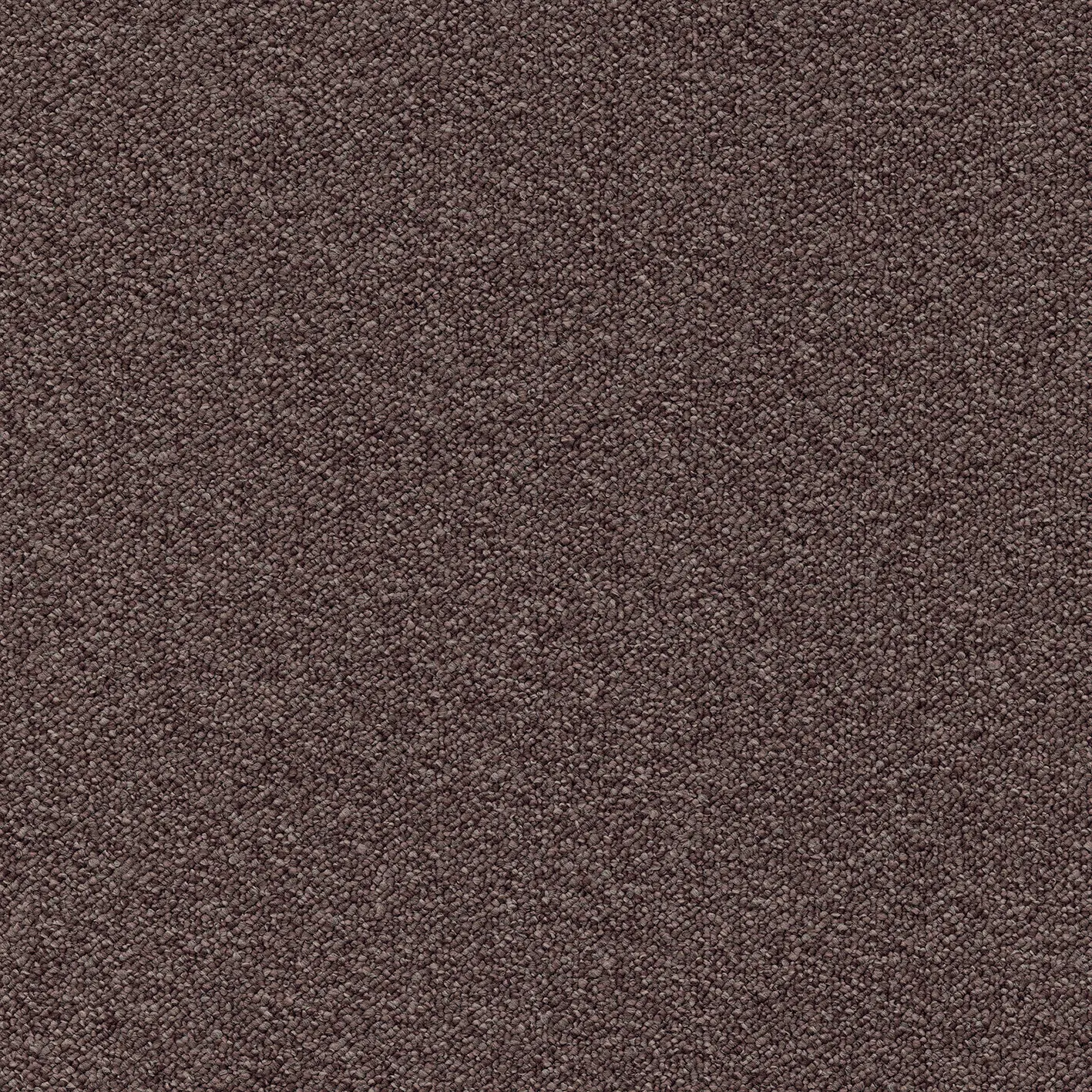 modulyss - Perpetual& 823