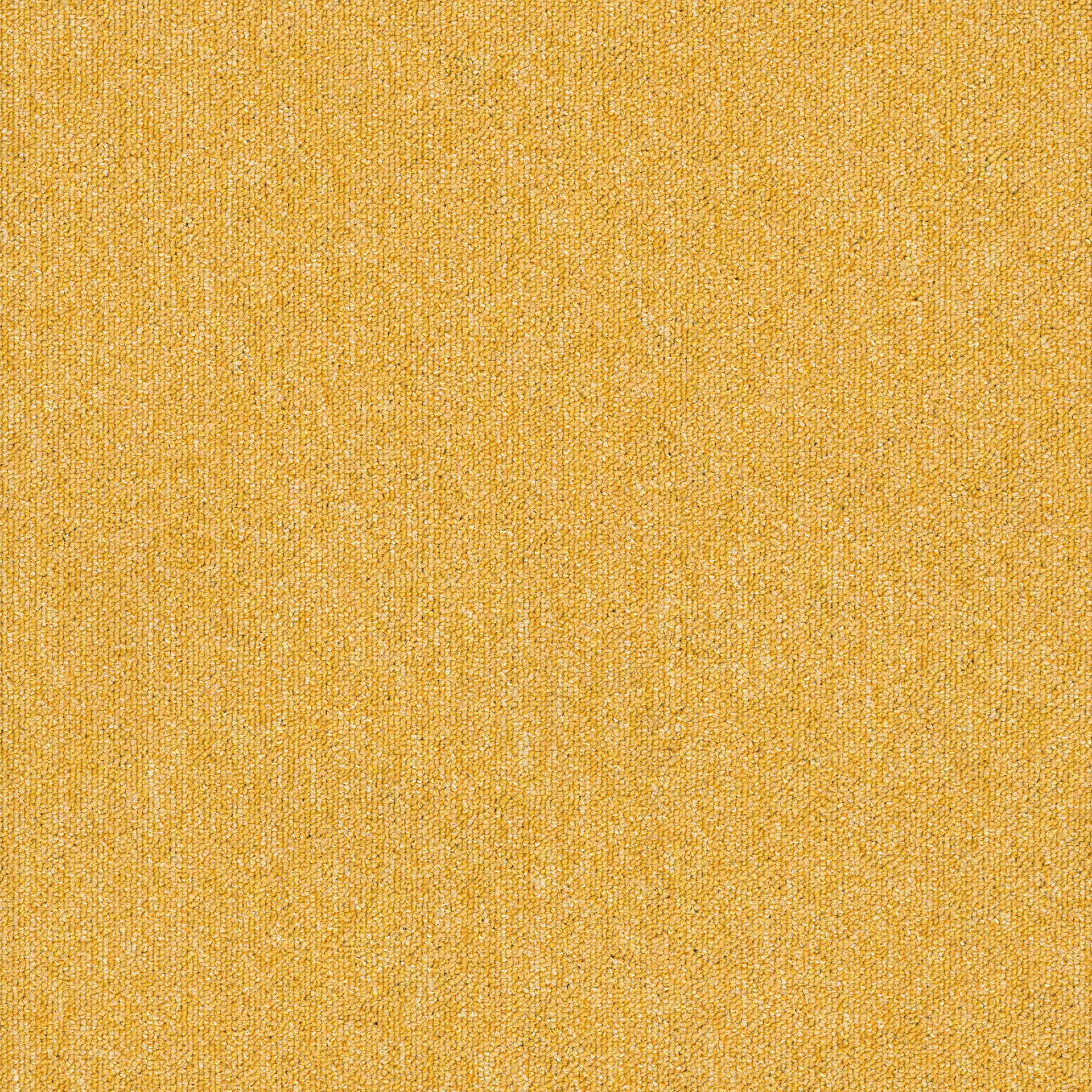 modulyss - Monos 204