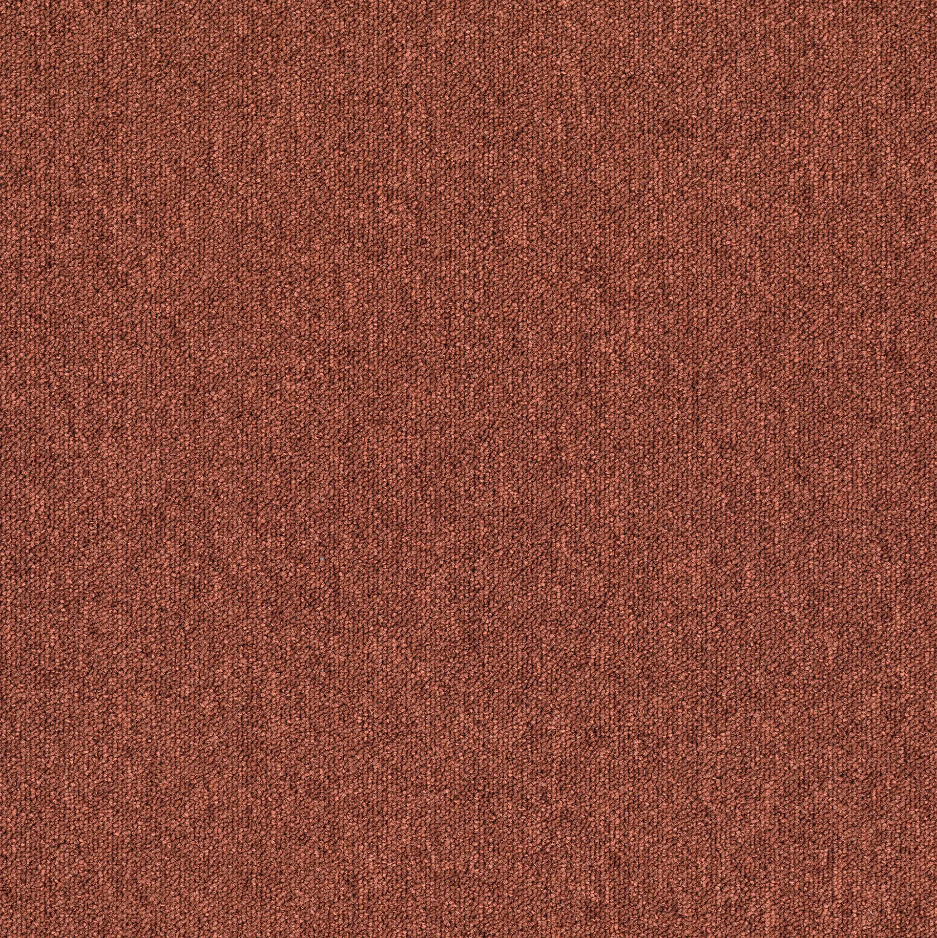 modulyss - Monos 319