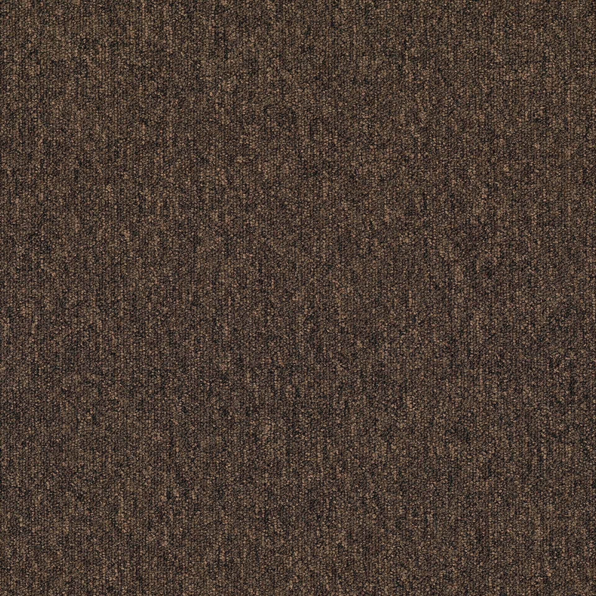 Mostrar el producto Monos 883 del fabricante modulyss