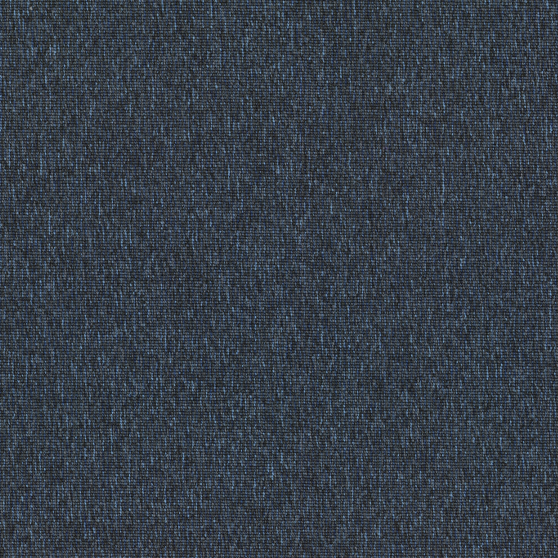 Textura 592