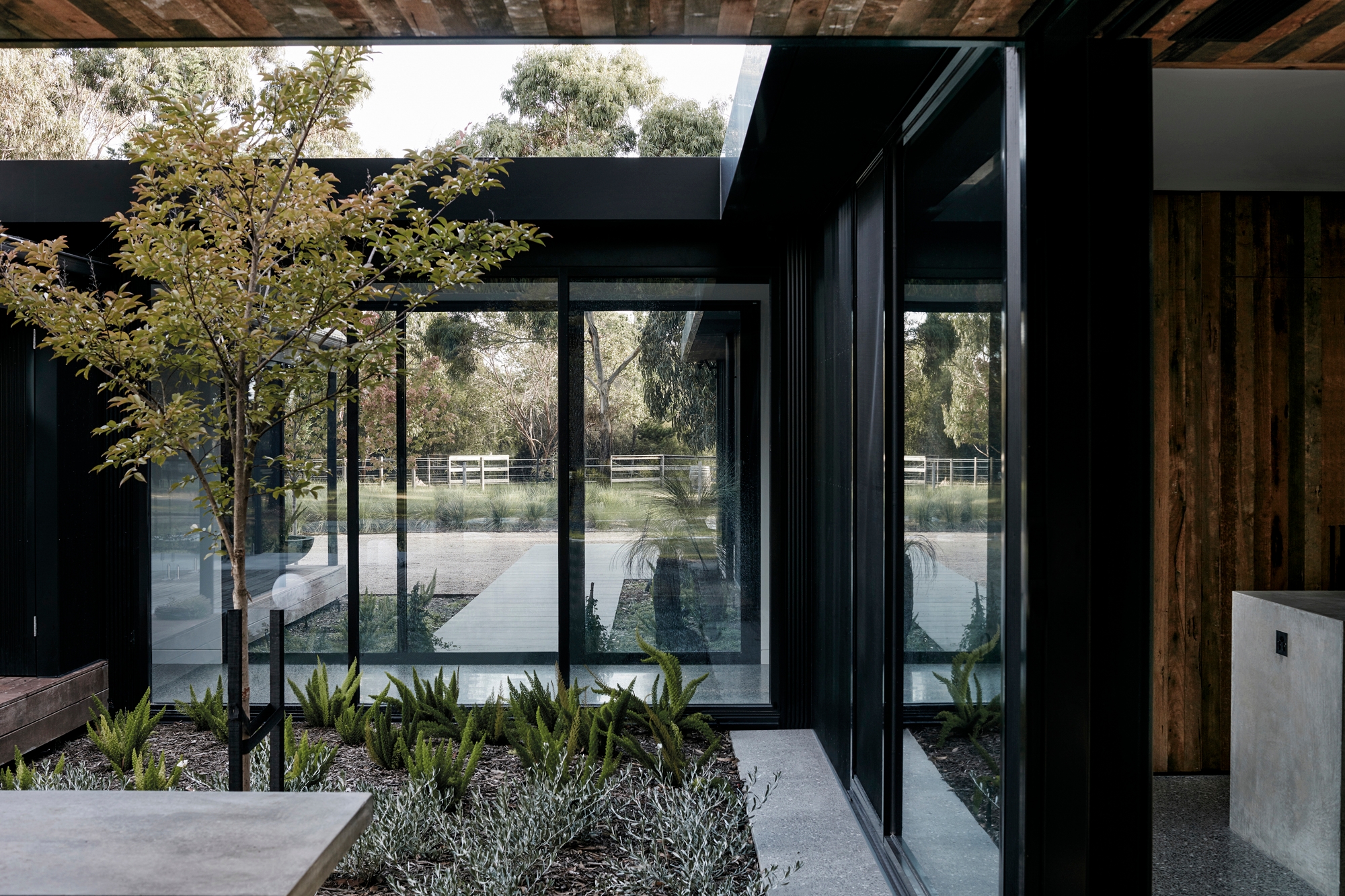 Read about project Red Hil House