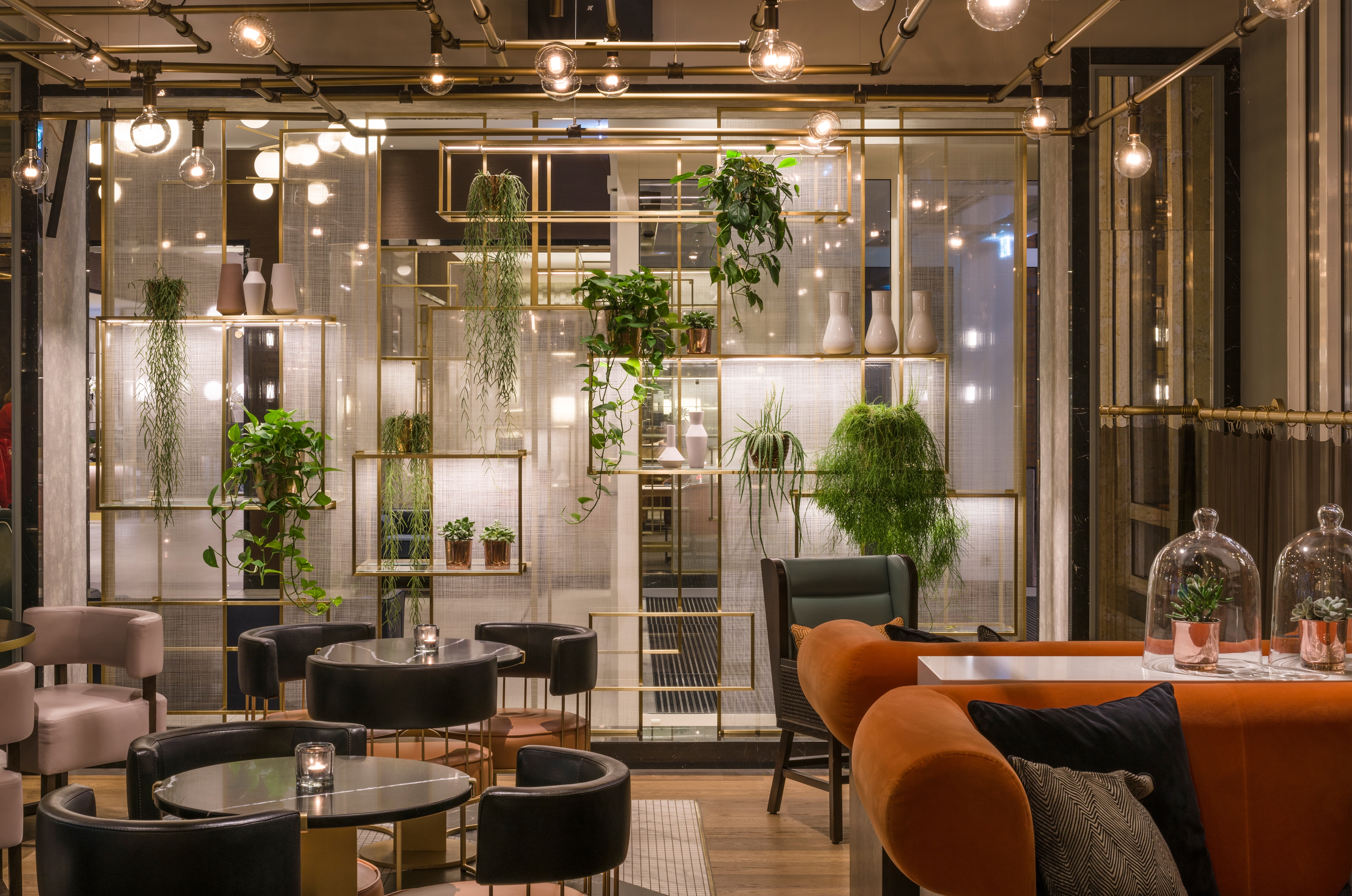 Leer sobre el proyecto Juliet Rose at the Hilton Hotel