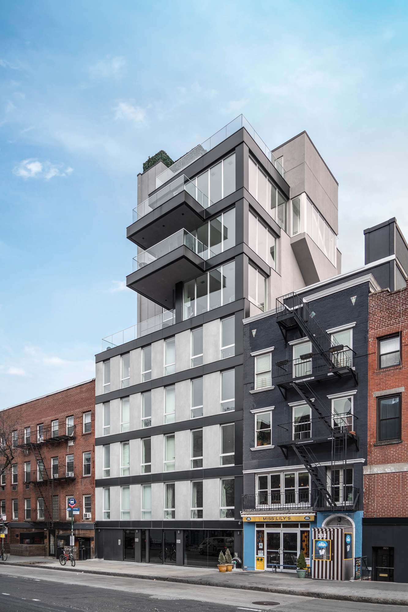 Read about project Private Home Houston Street NY