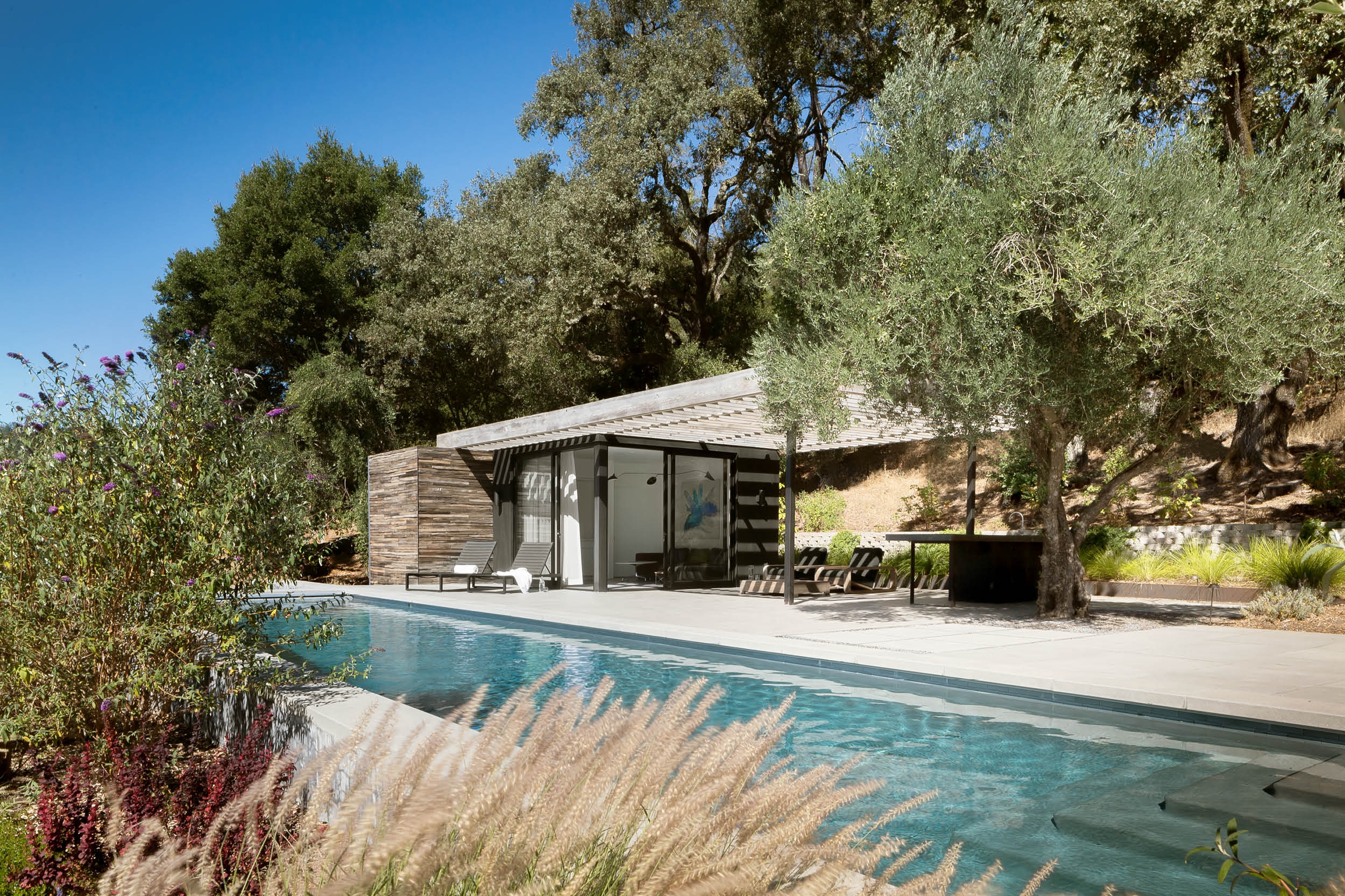 Lees oor projek Dry Creek Pool House