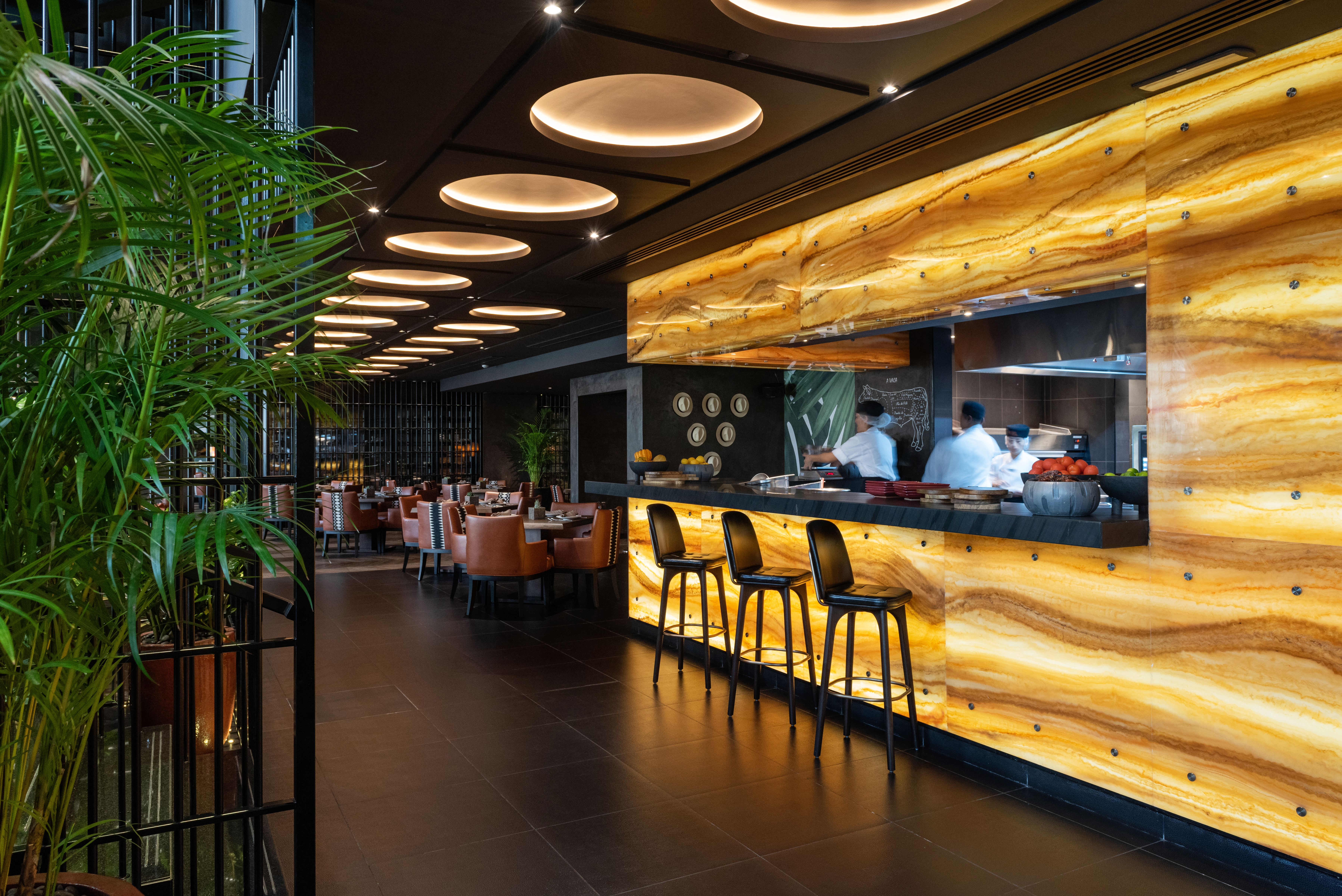 Read about project Toro Toro