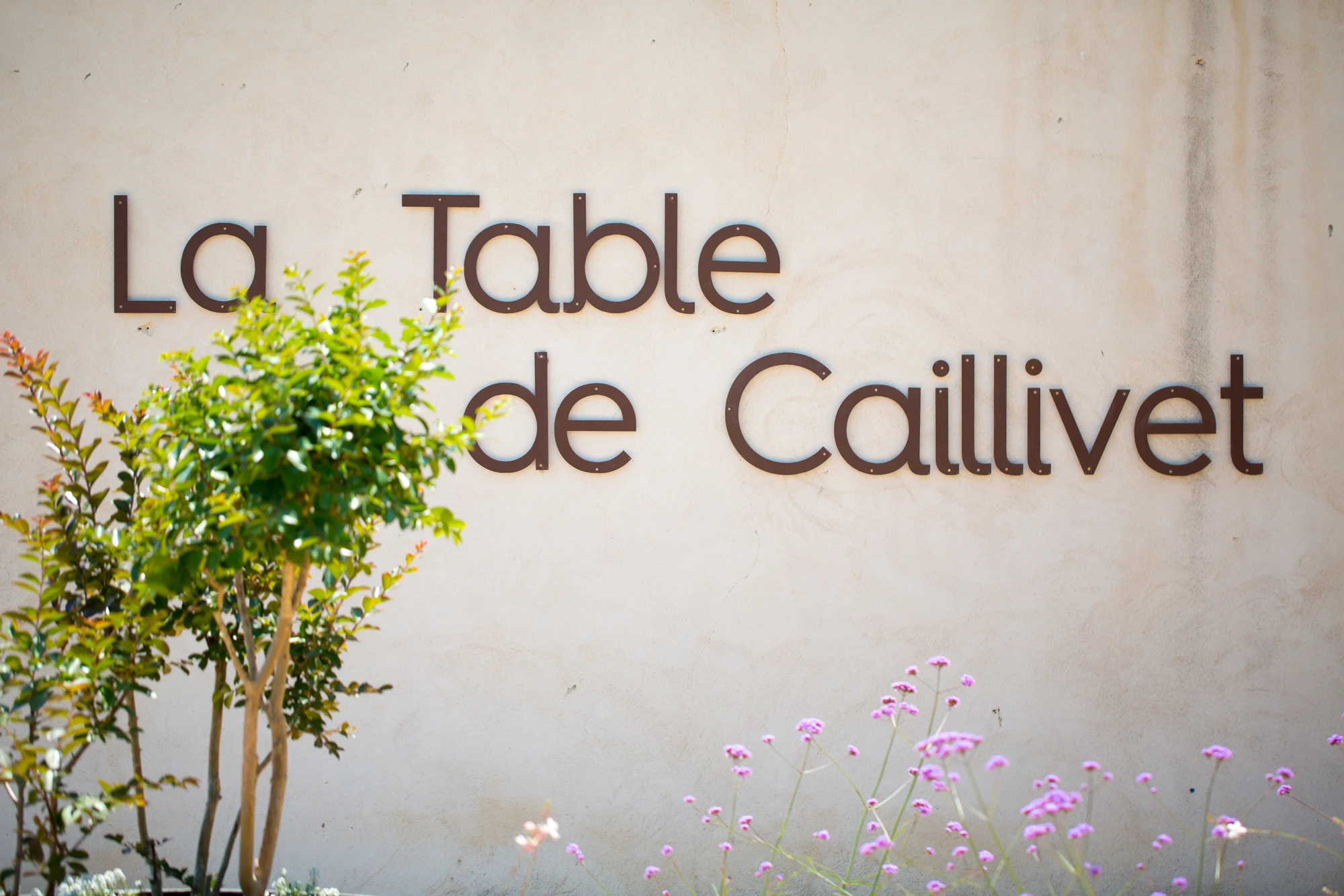 Hauptbild für das Projekt La table de Caillivet