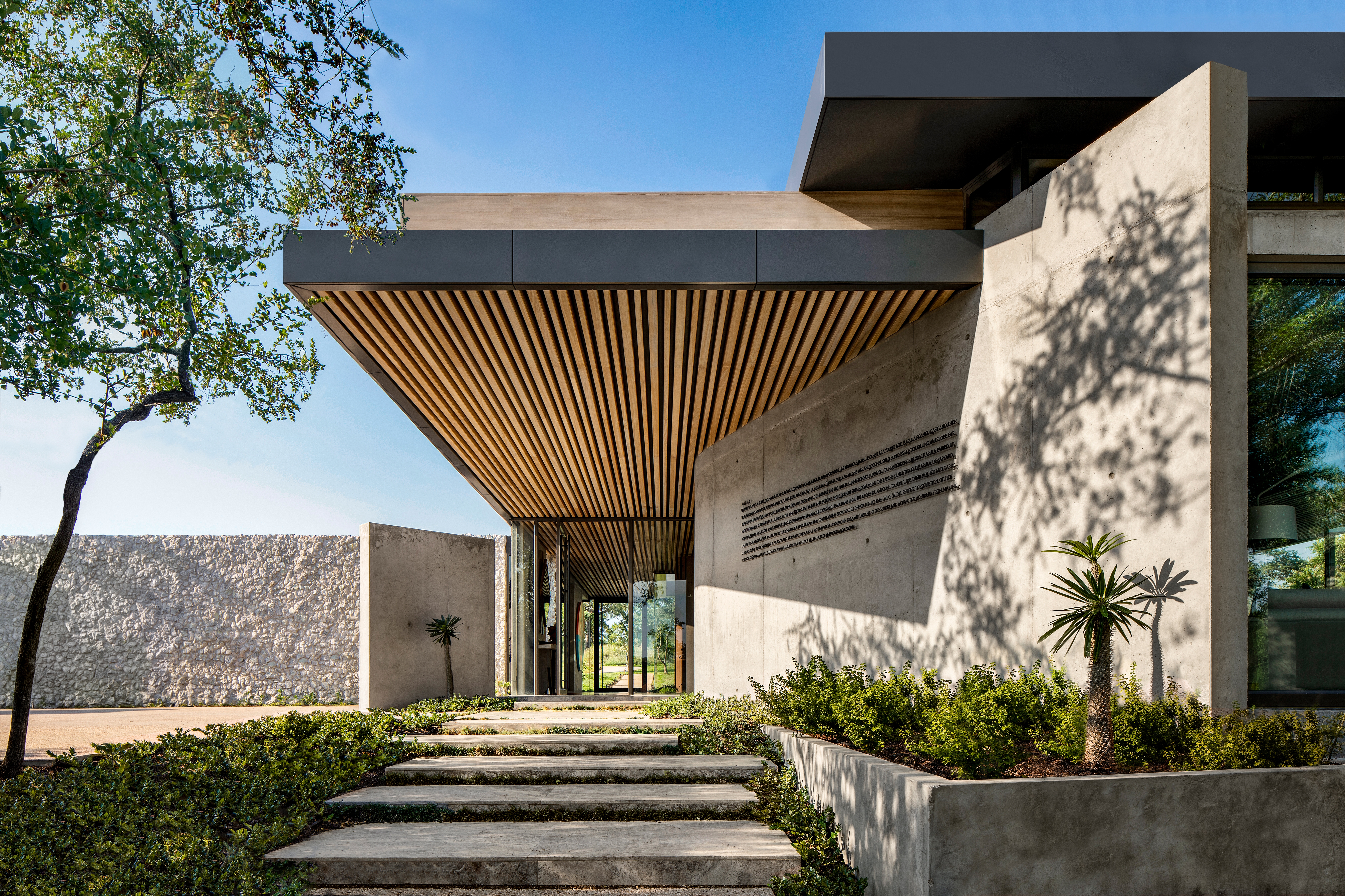 Read about project Cheetah Plains