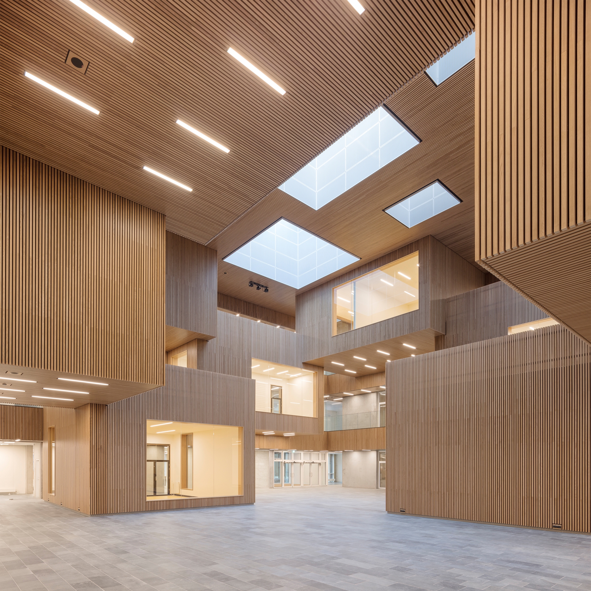 Read about project DTU Life Science Bioengineering B202