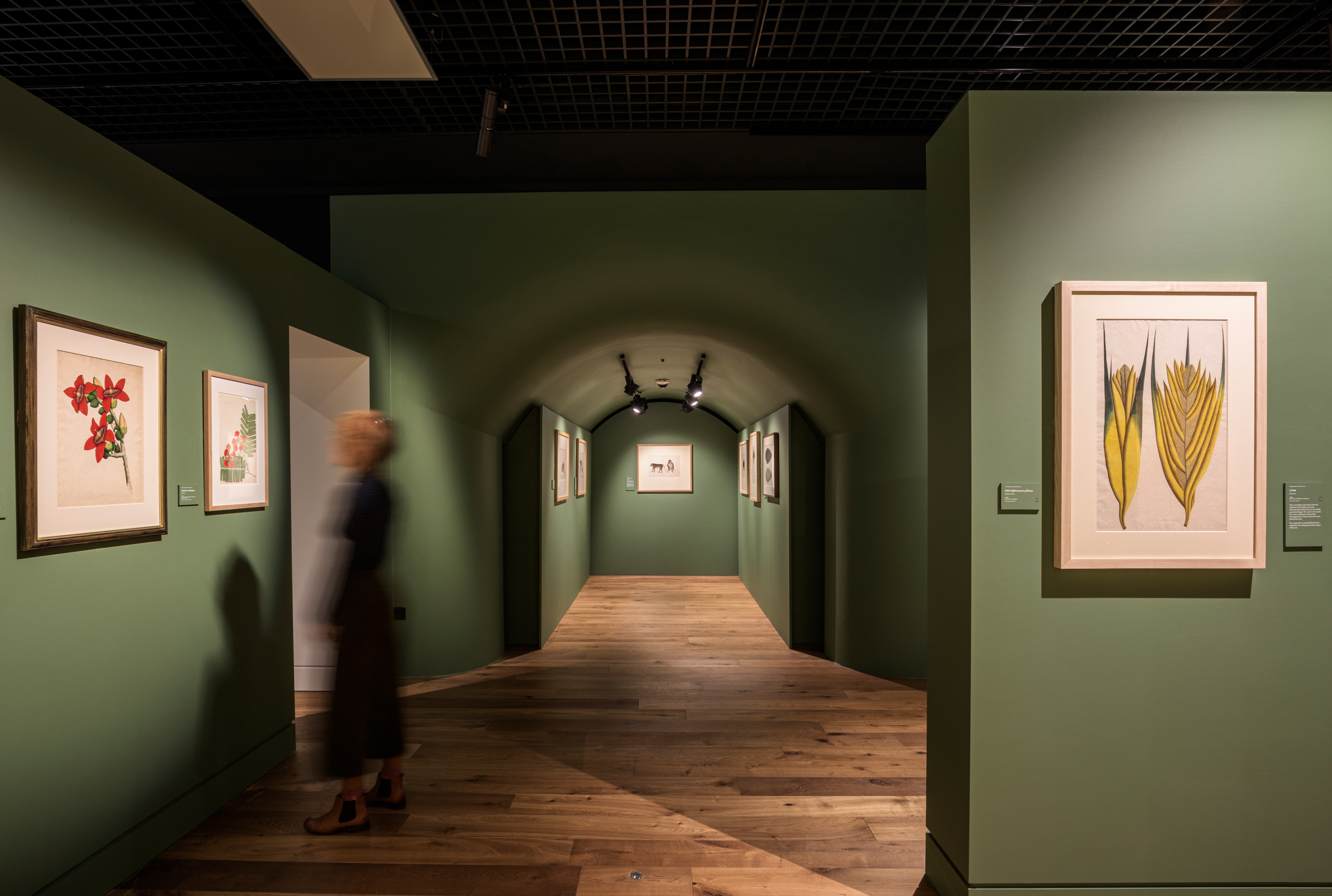 Read about project Forgotten Masters