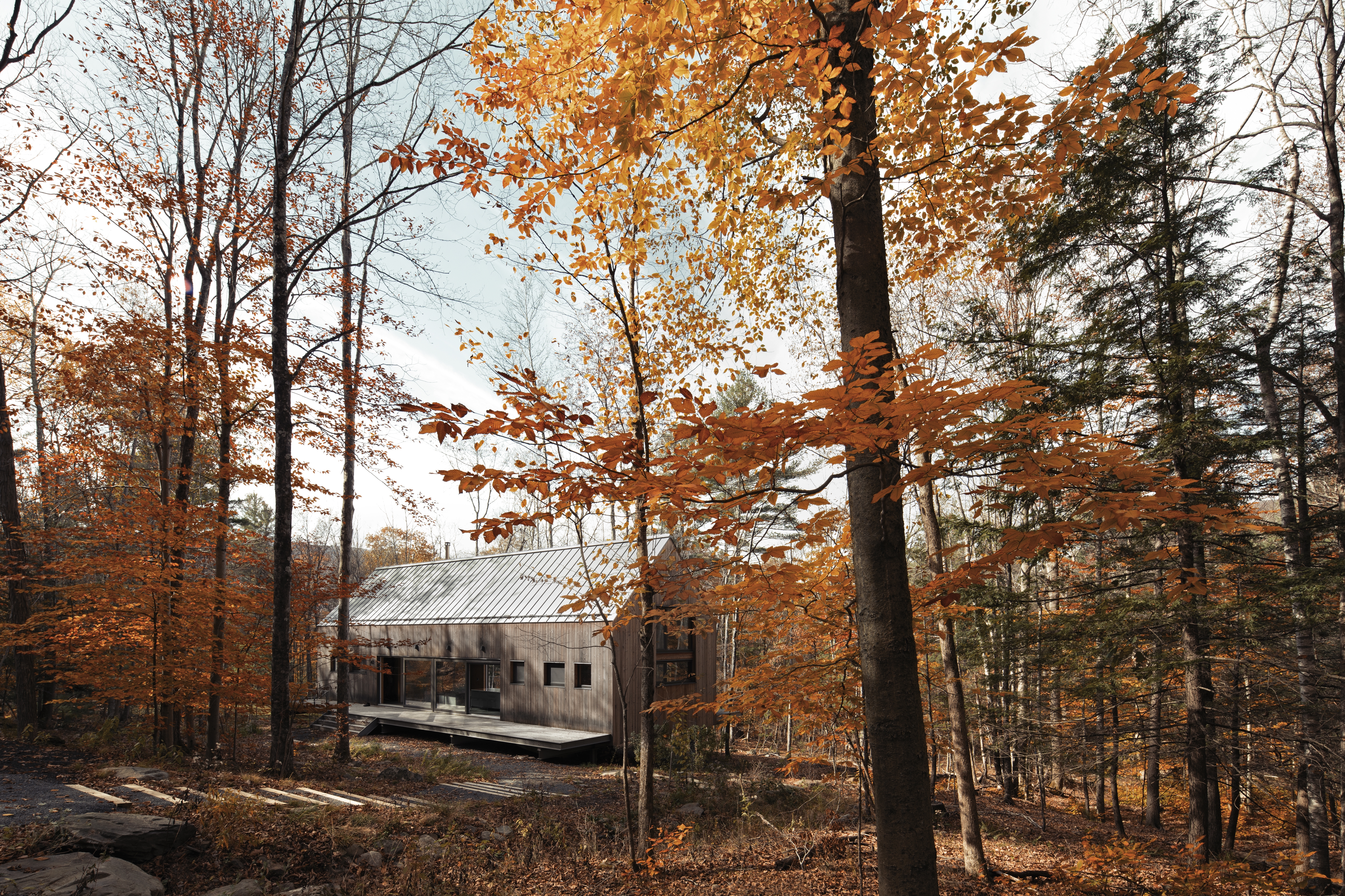 Lees oor projek Mount Tobias