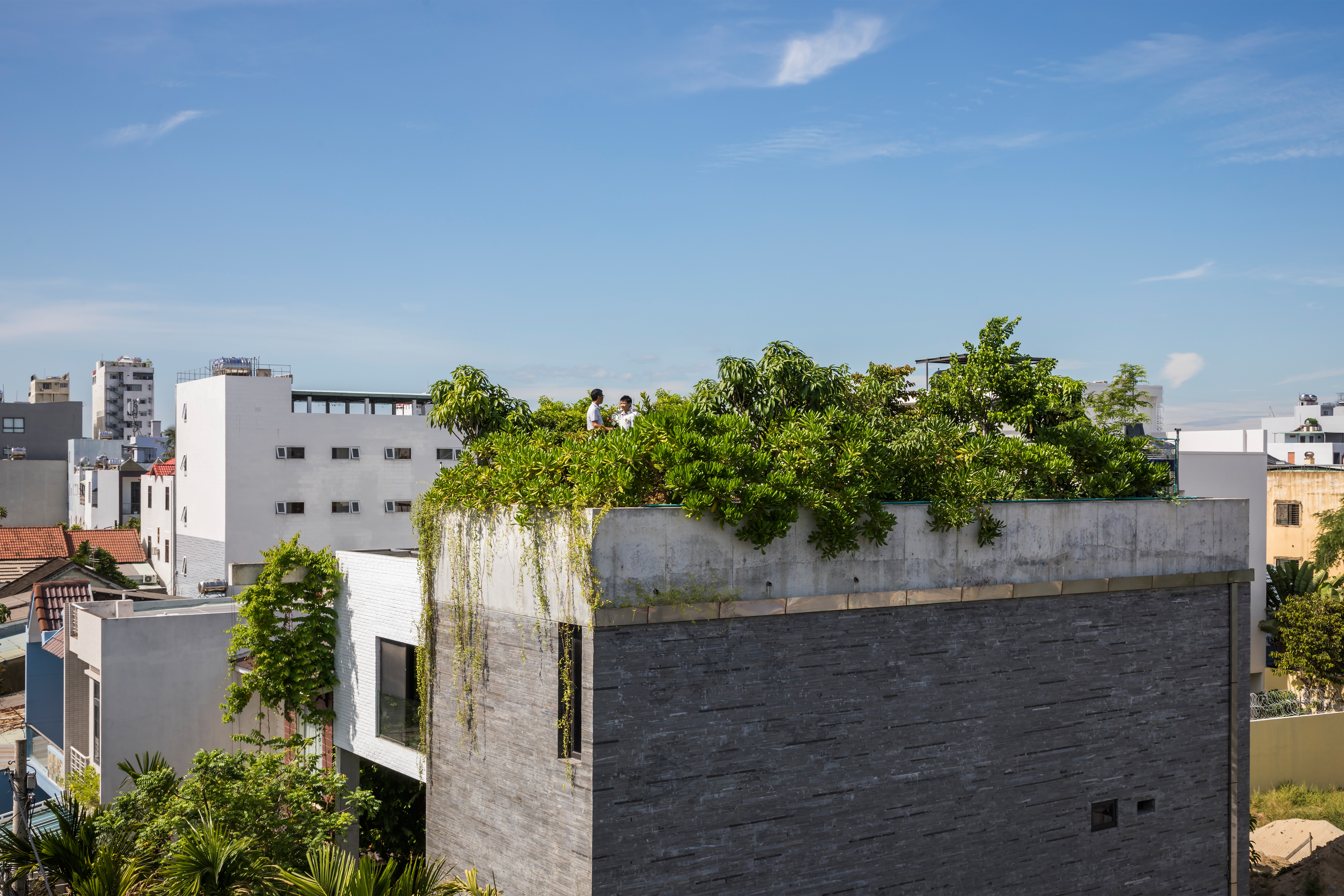 Read about project Thang House