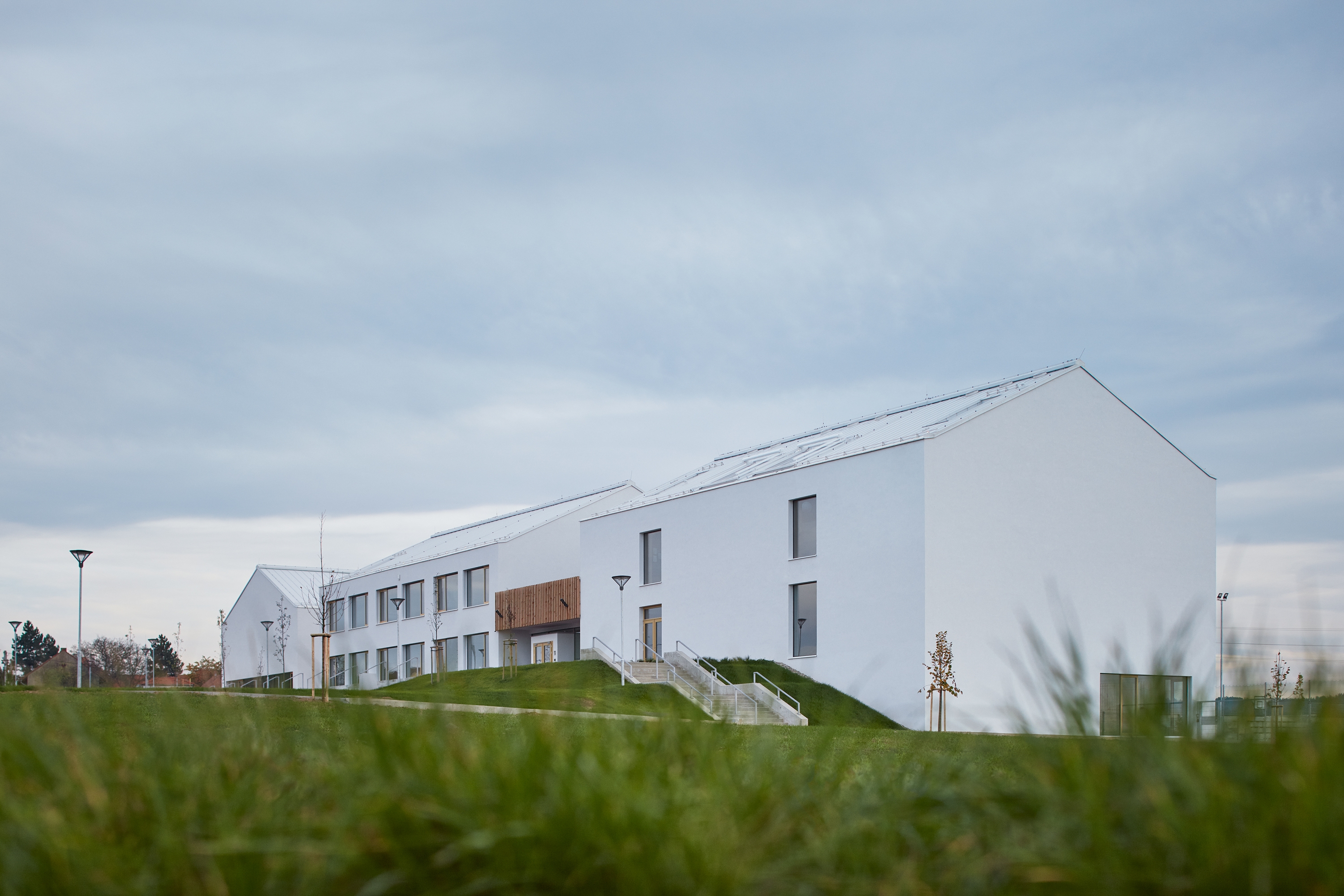 Leer sobre el proyecto Elementary School Amos
