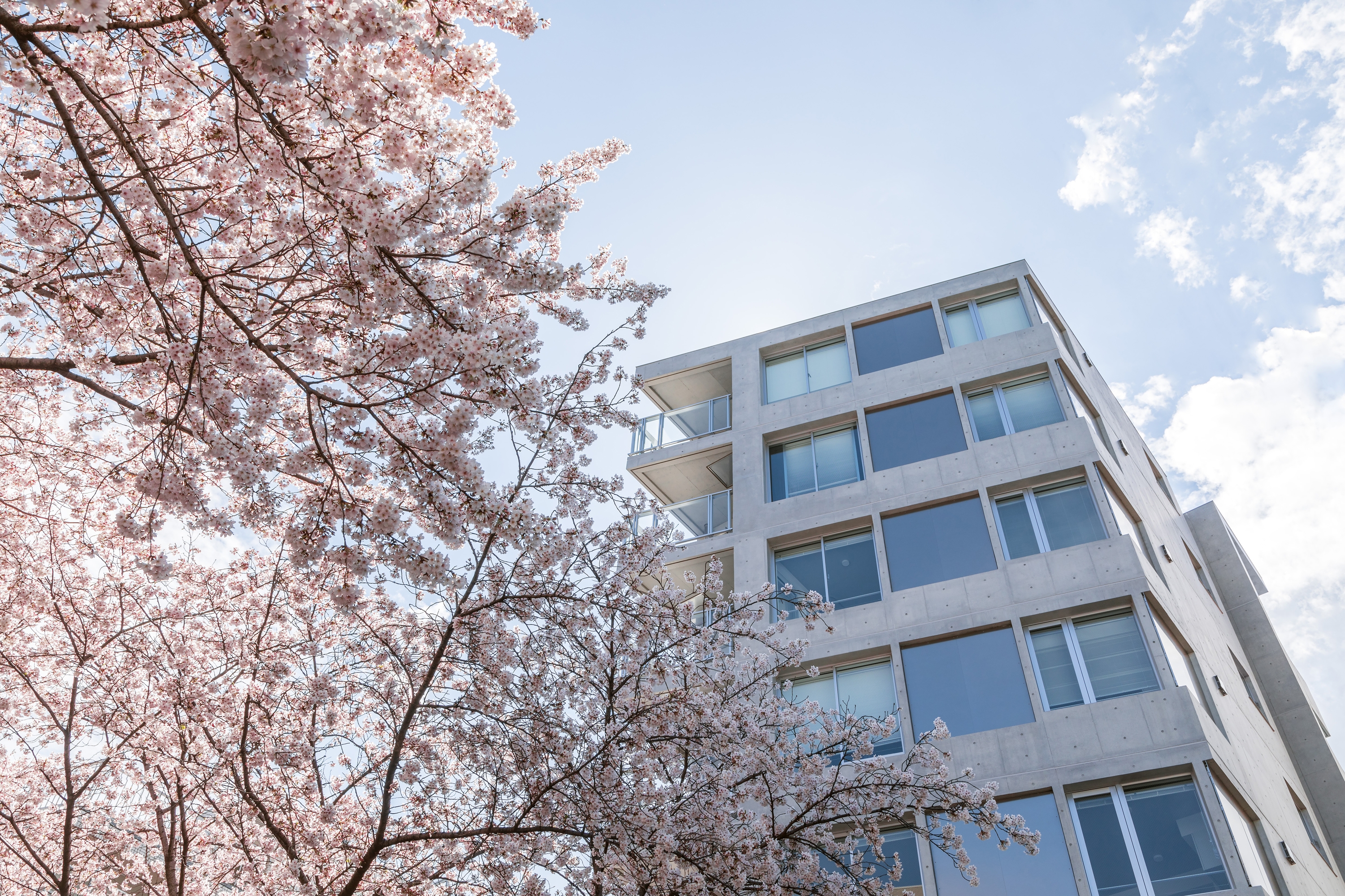 Read about project Scenario Fudomae