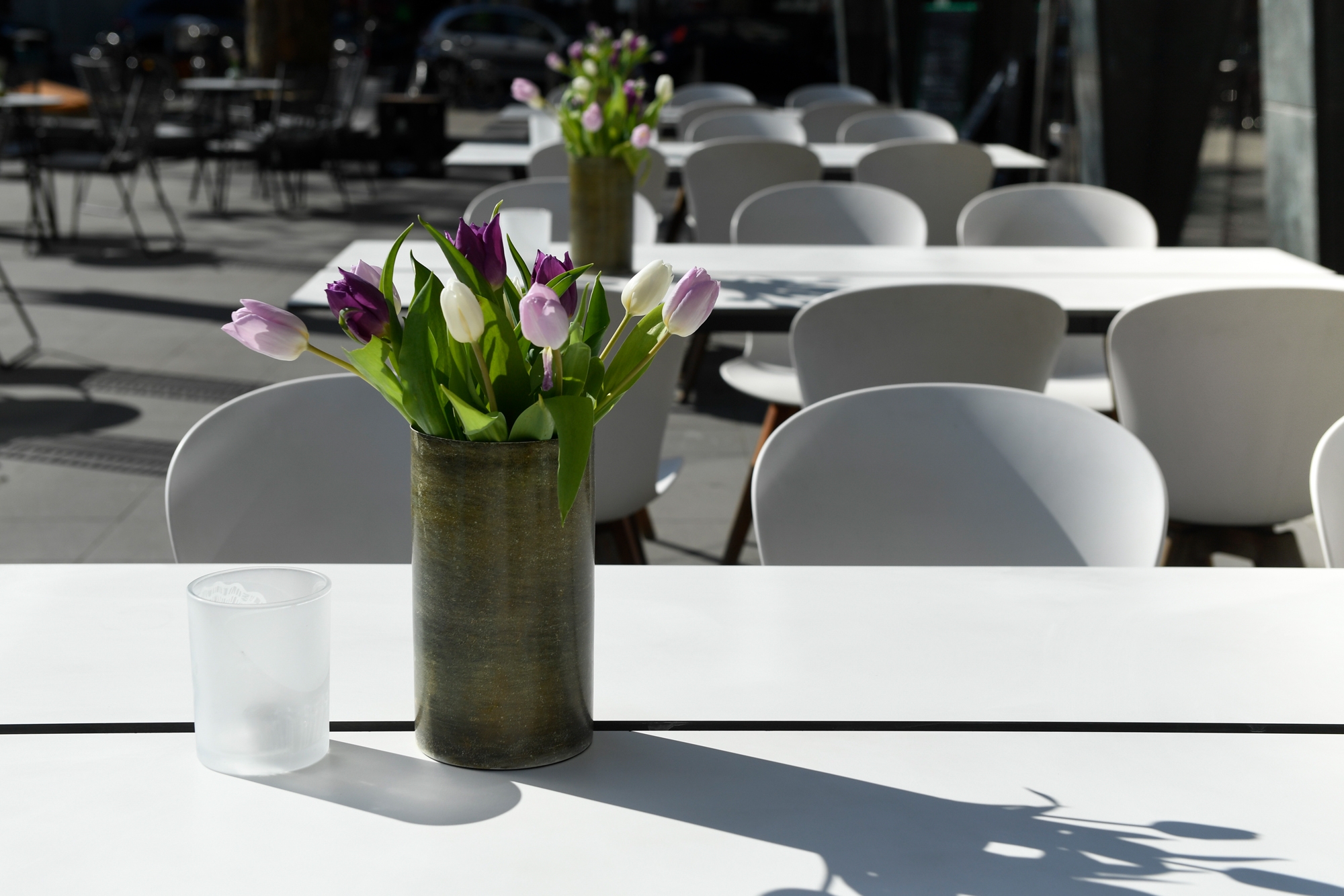 Read about project Bistro "Green Bowl"