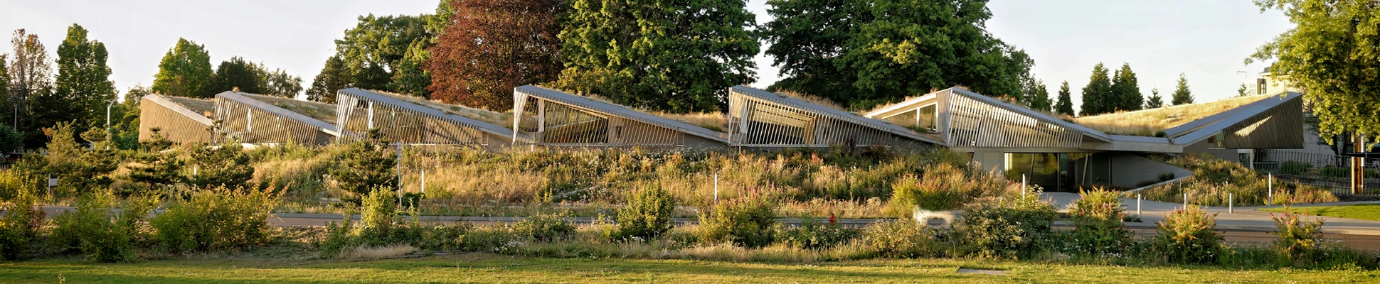 Project Header Image