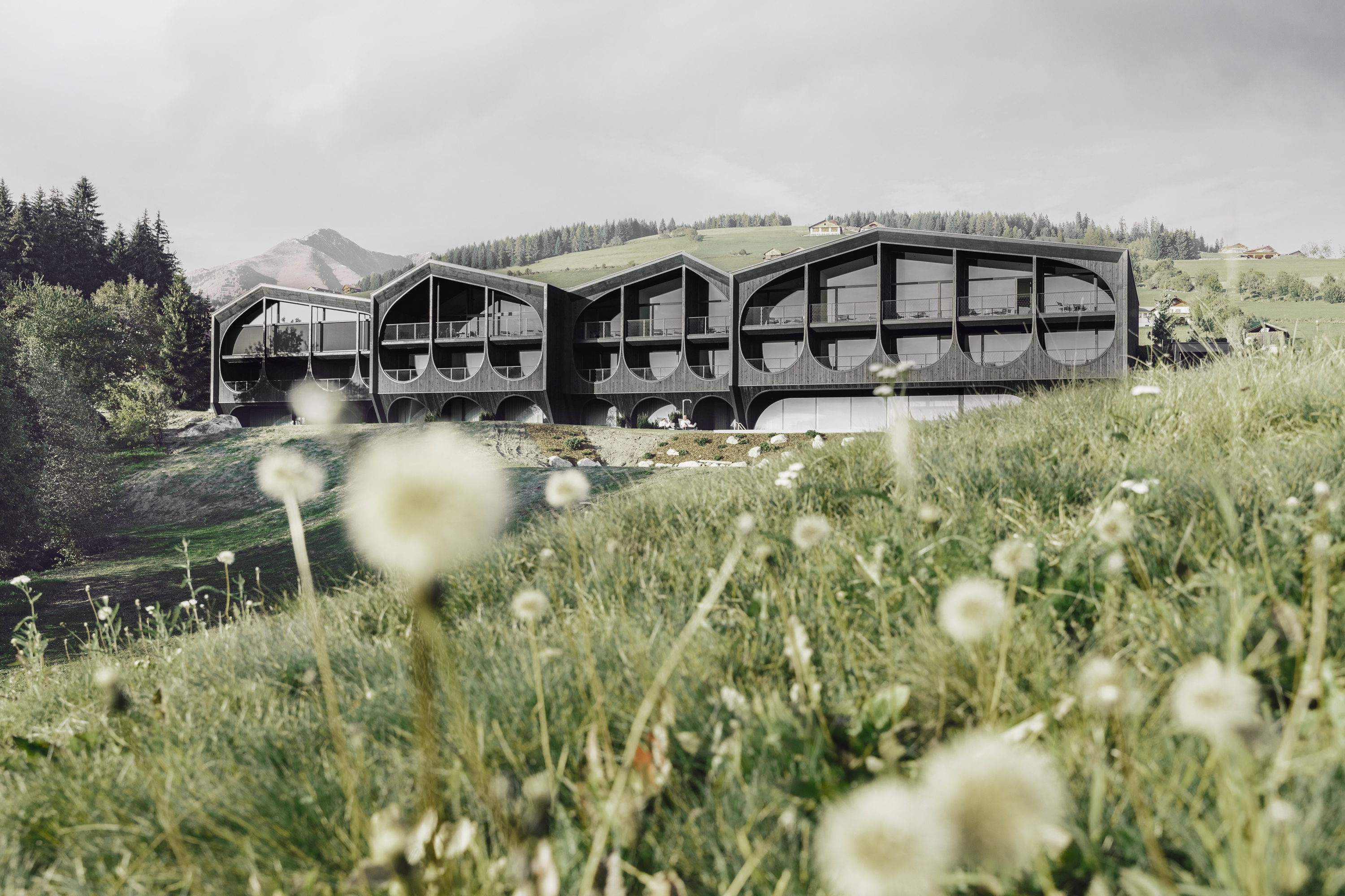 Read about project Hotel Milla Montis