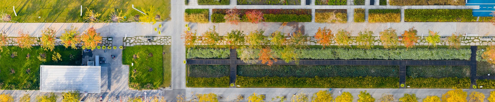 Project Header Image