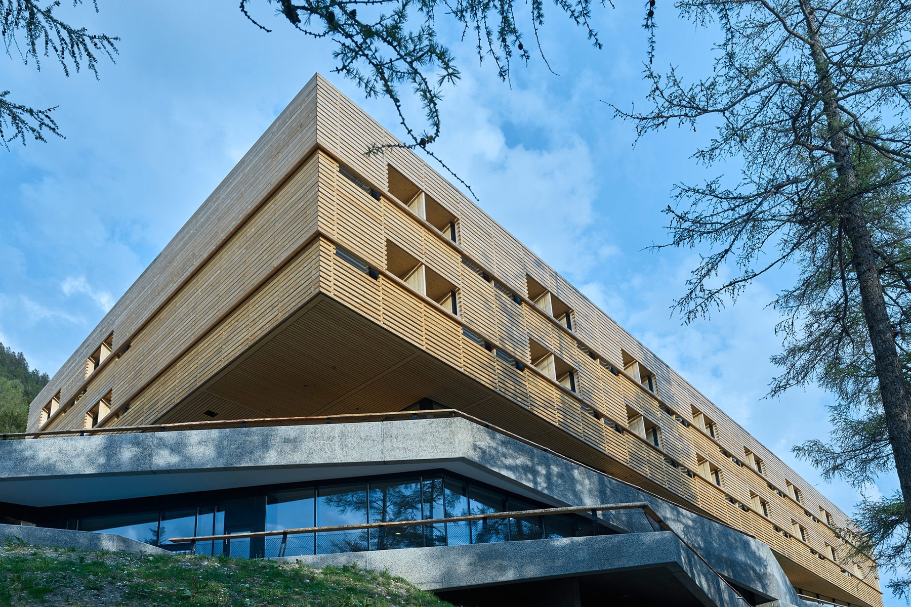 Read about project Clinicum Alpinum