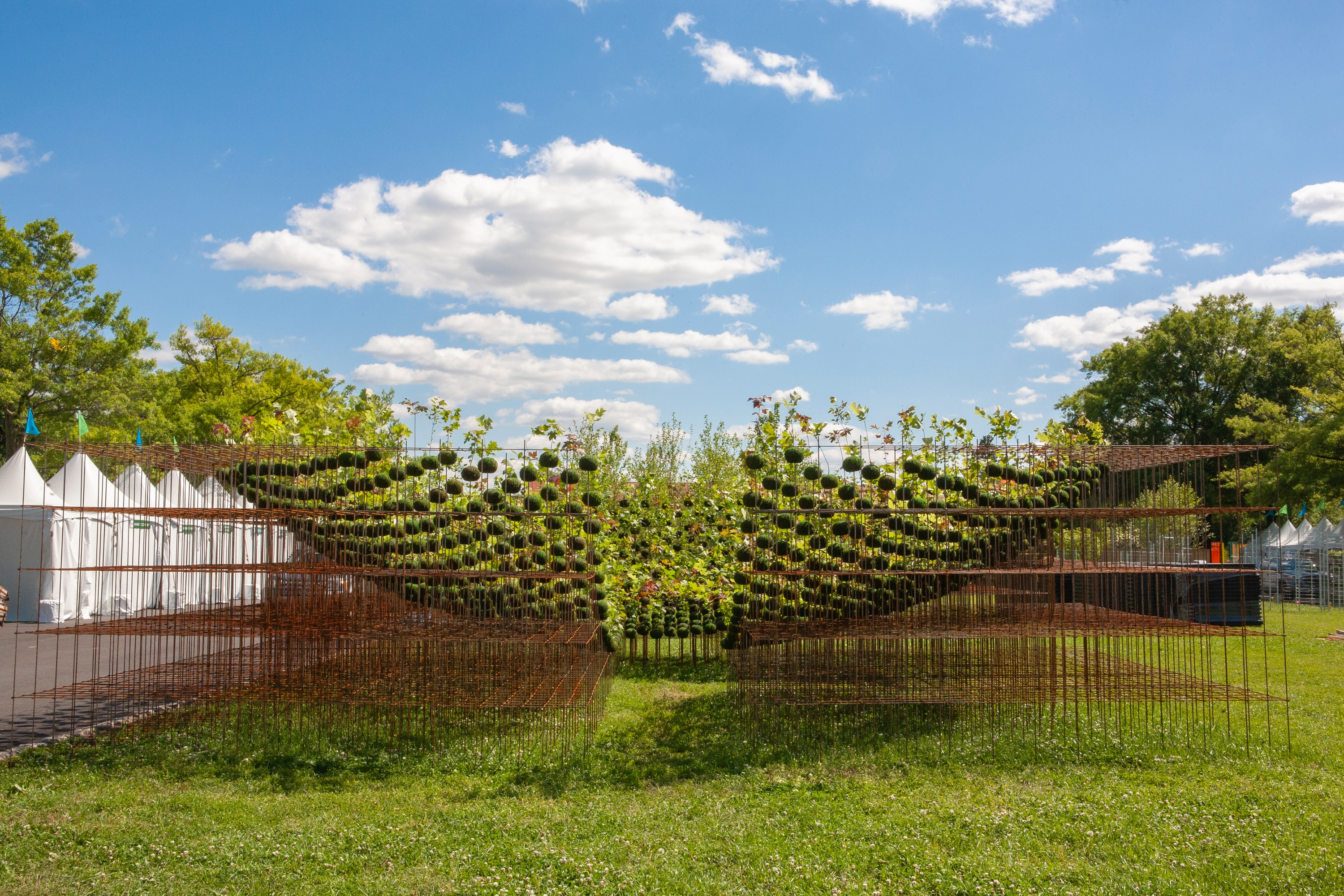 Read about project Kokedama Forest