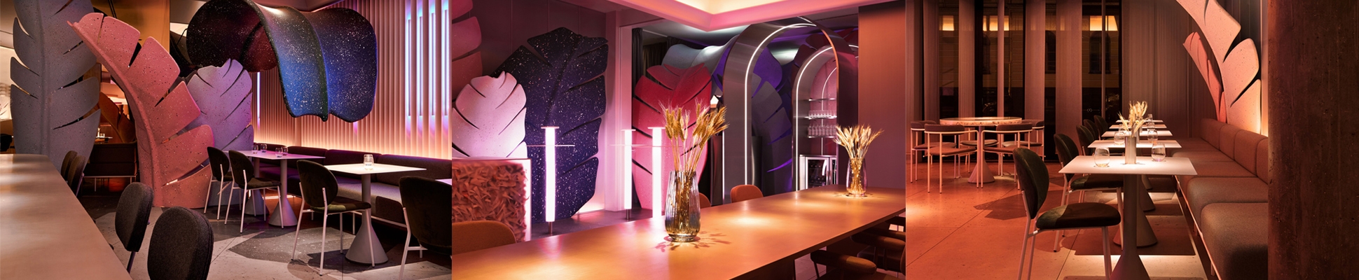 Read about project Bio My Bio