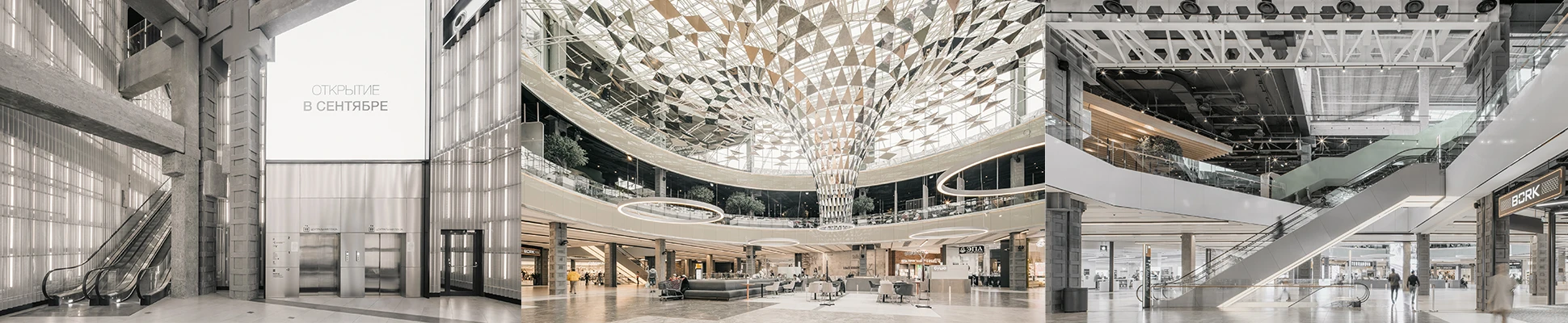 Project Header Image