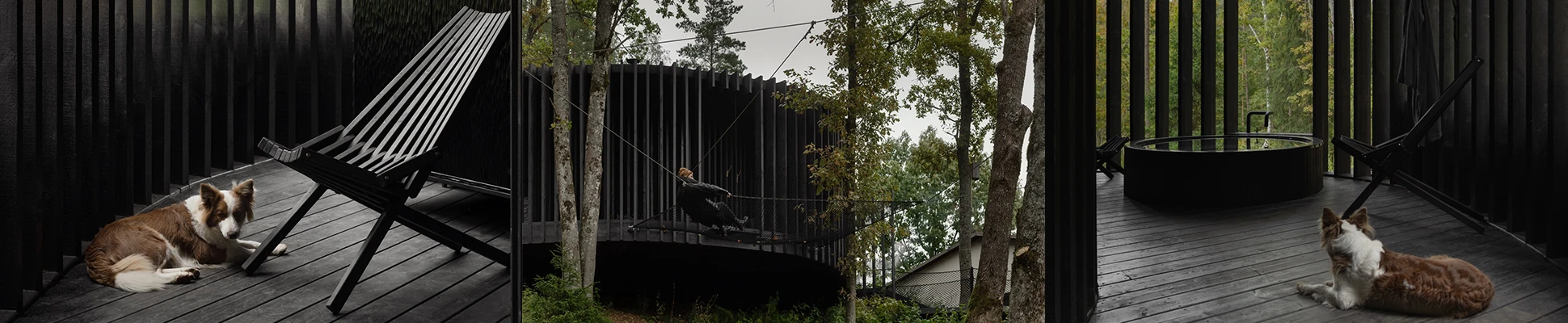 Project Header Image