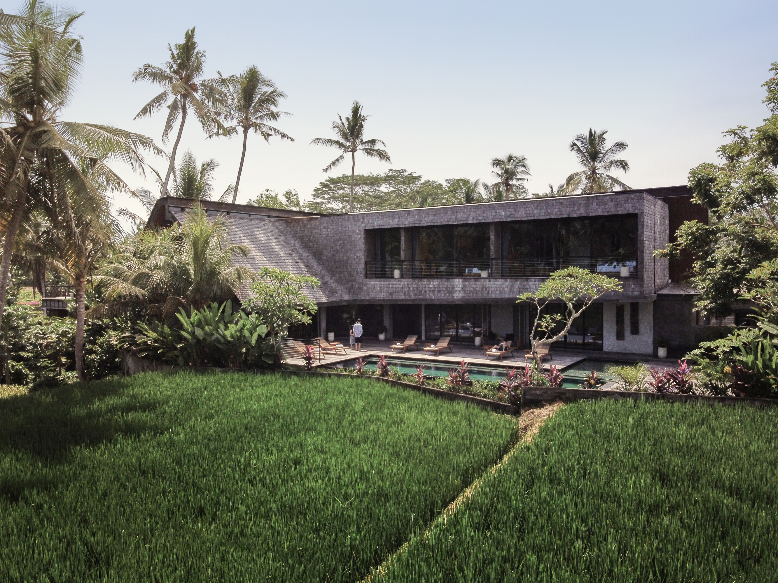 Leggi sul progetto The Wing