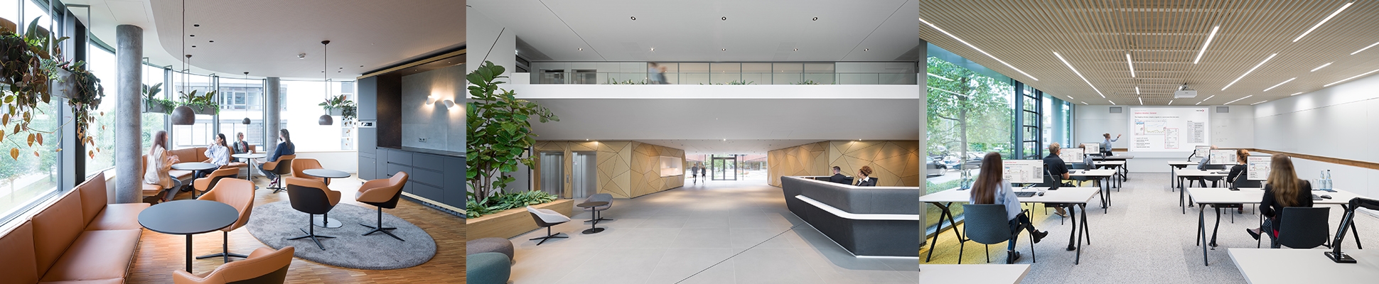 Read about project Vector Academy