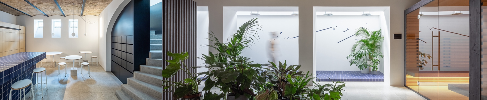 Erfahre mehr über das Projekt Elysium Spa