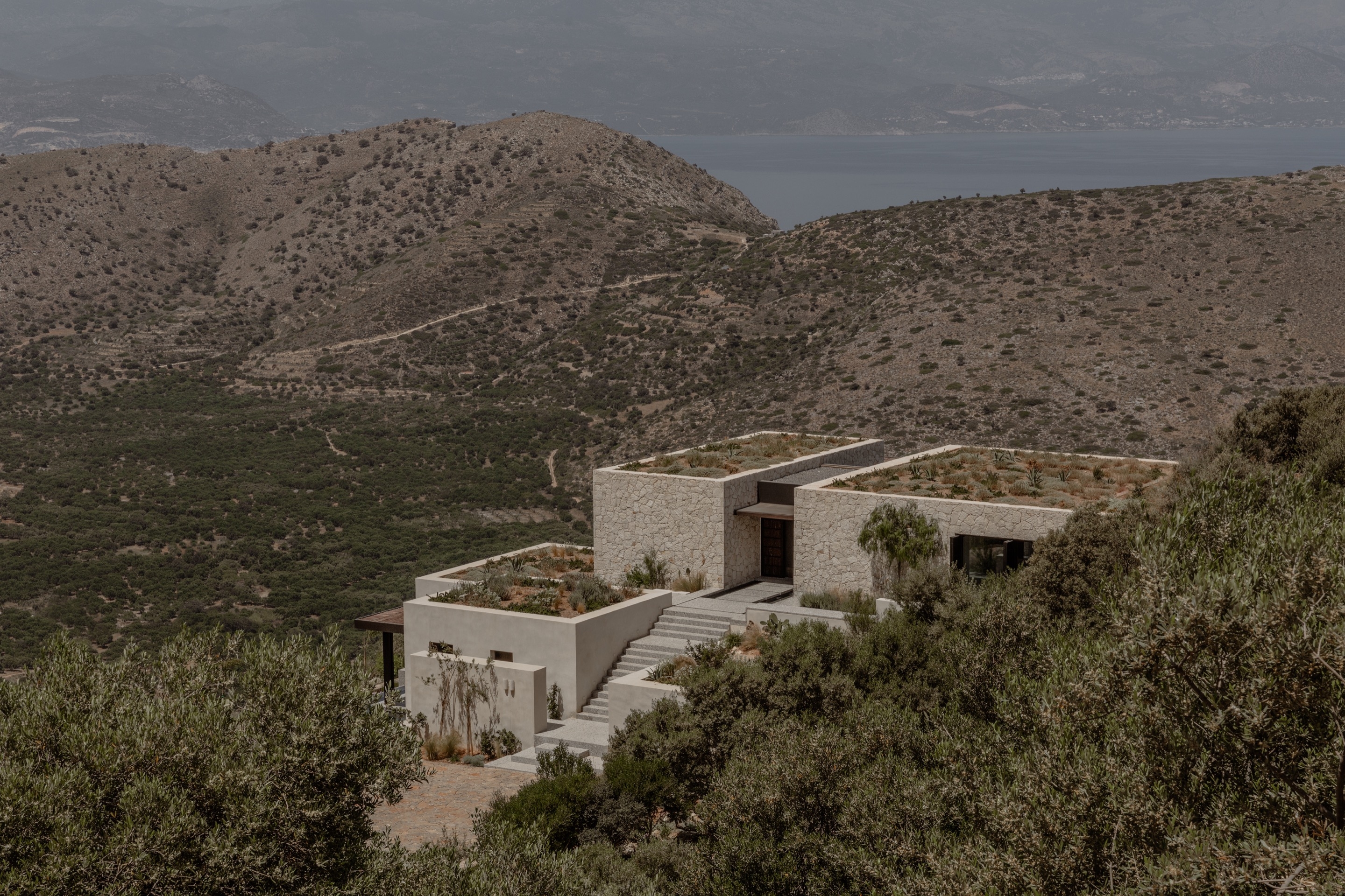 Read about project The Hill House
