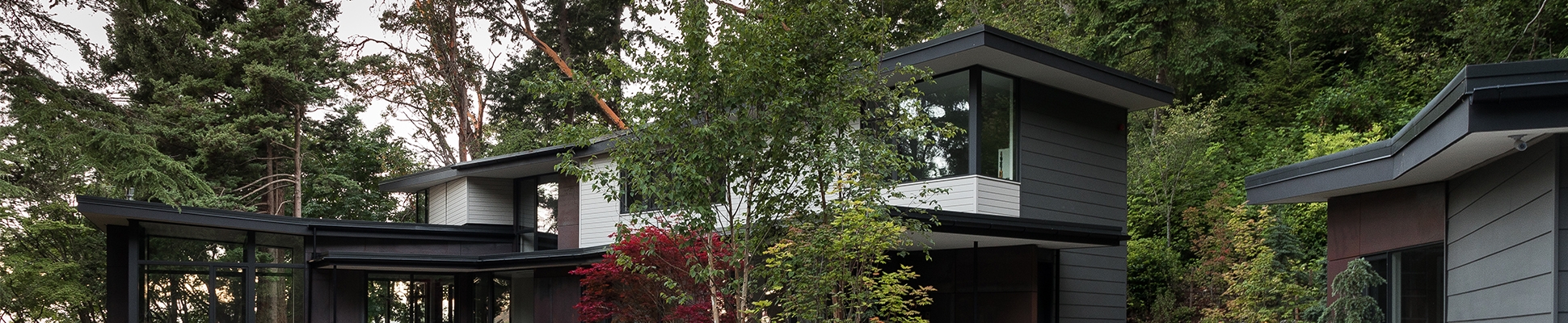 Read about project Tree House