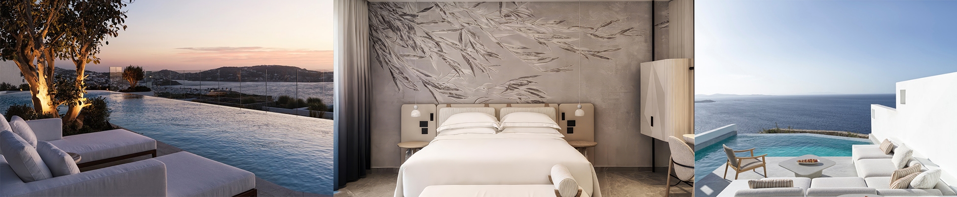 Erfahre mehr über das Projekt Mediterranean roots