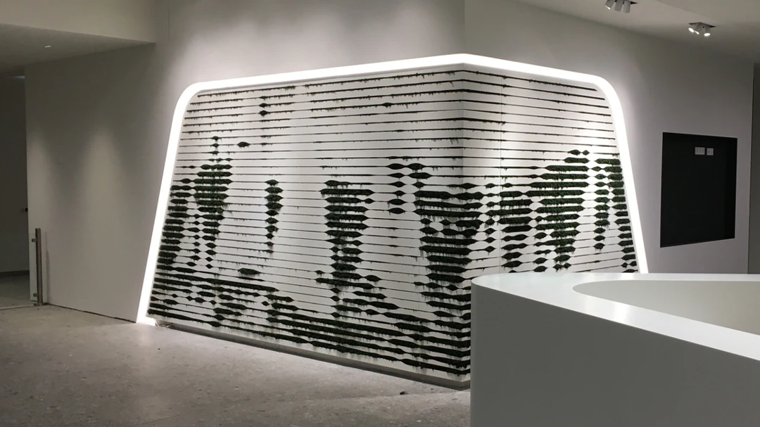 Leggi sul progetto Moss wall panels and room elements | Euler Hermes