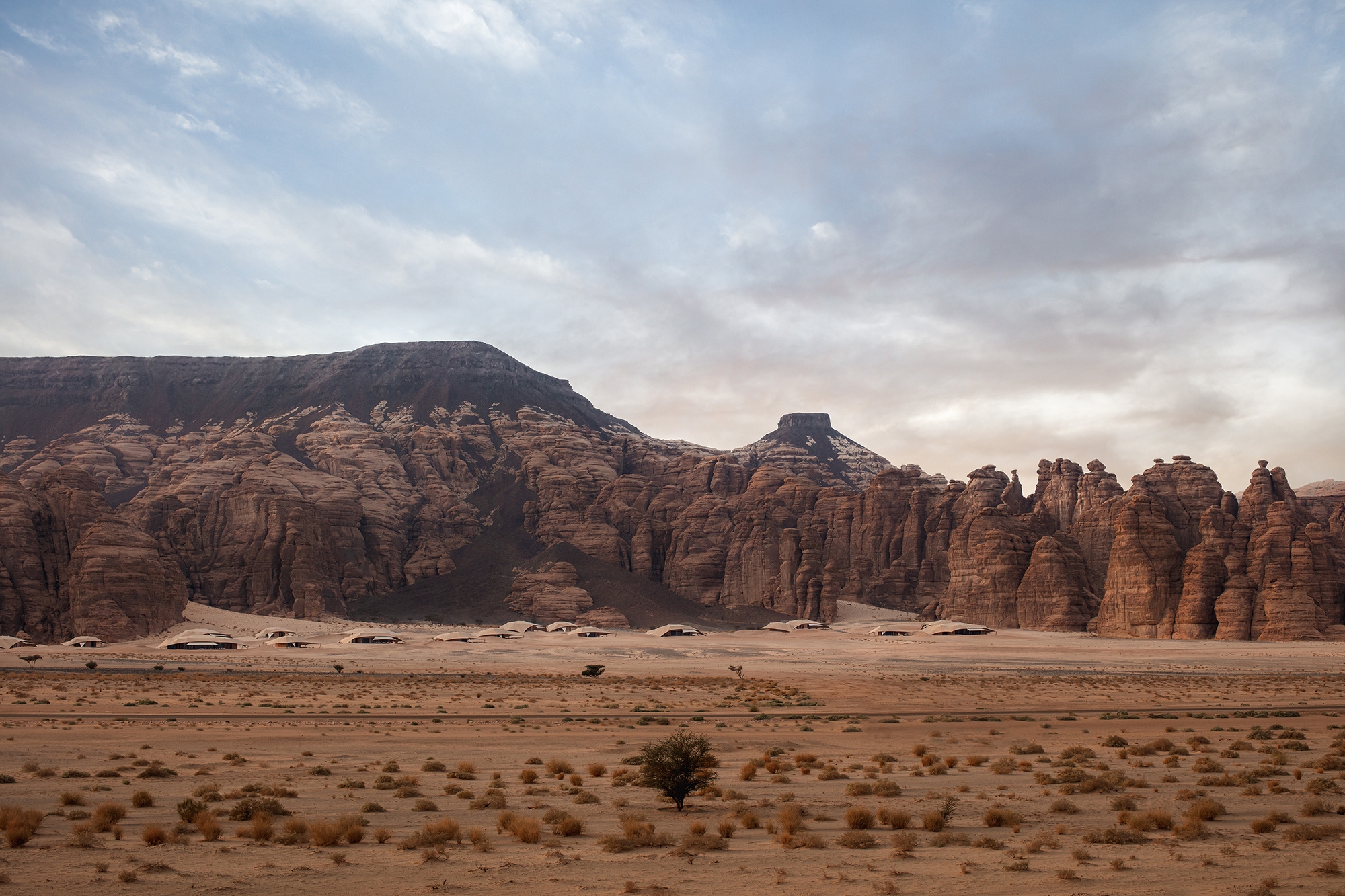 Read about project Banyan Tree AlUla