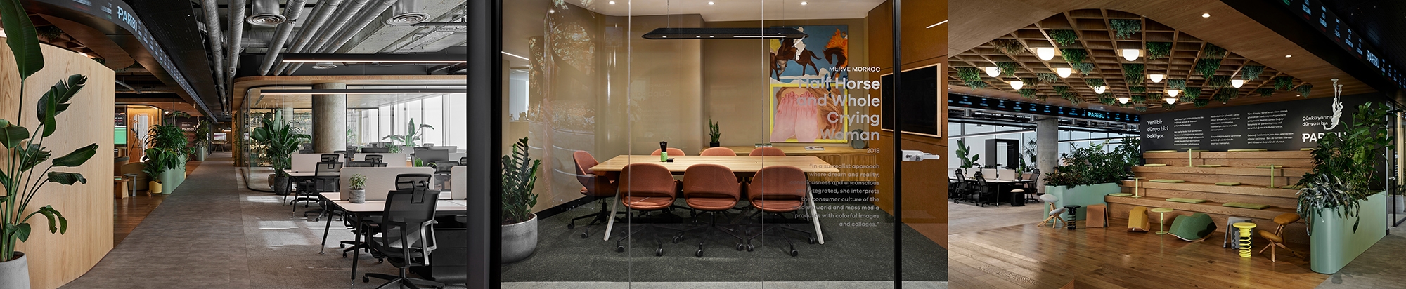 Read about project Paribu