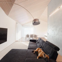 Read about project Interior of Tuklaty Family House