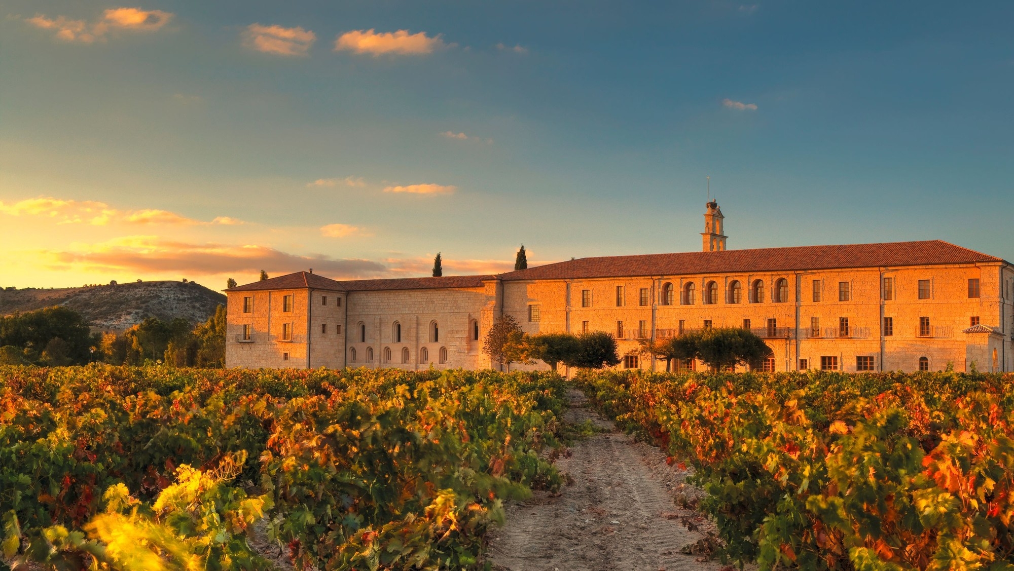 Read about project Abadia Retuerta LeDomaine