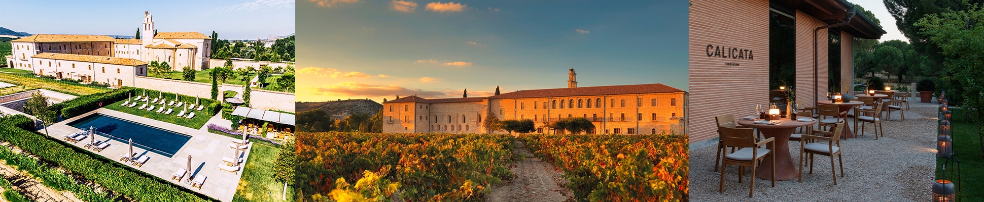 Lire à propos du projet Abadia Retuerta LeDomaine